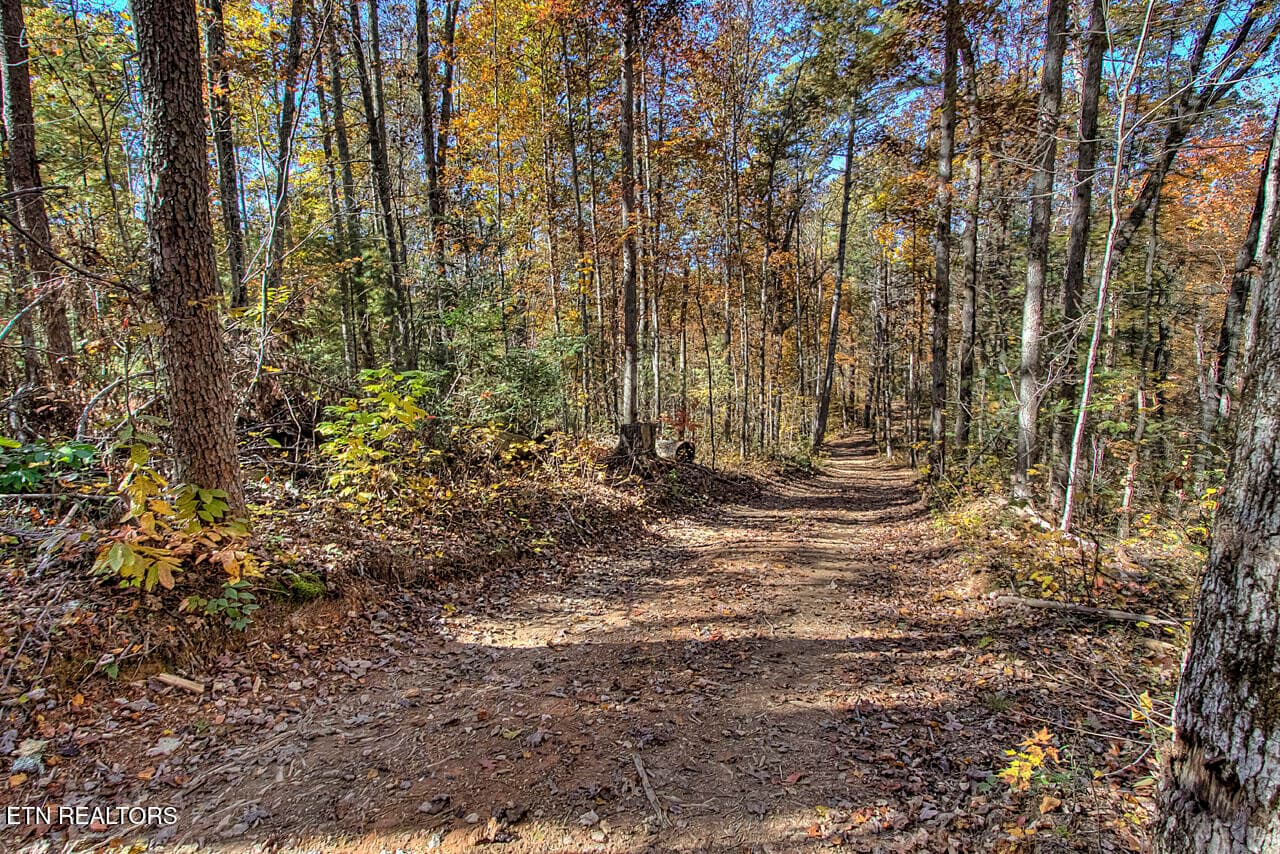 Miles of wide trails - 2050 E Millers Cove Rd, Walland, TN 37886