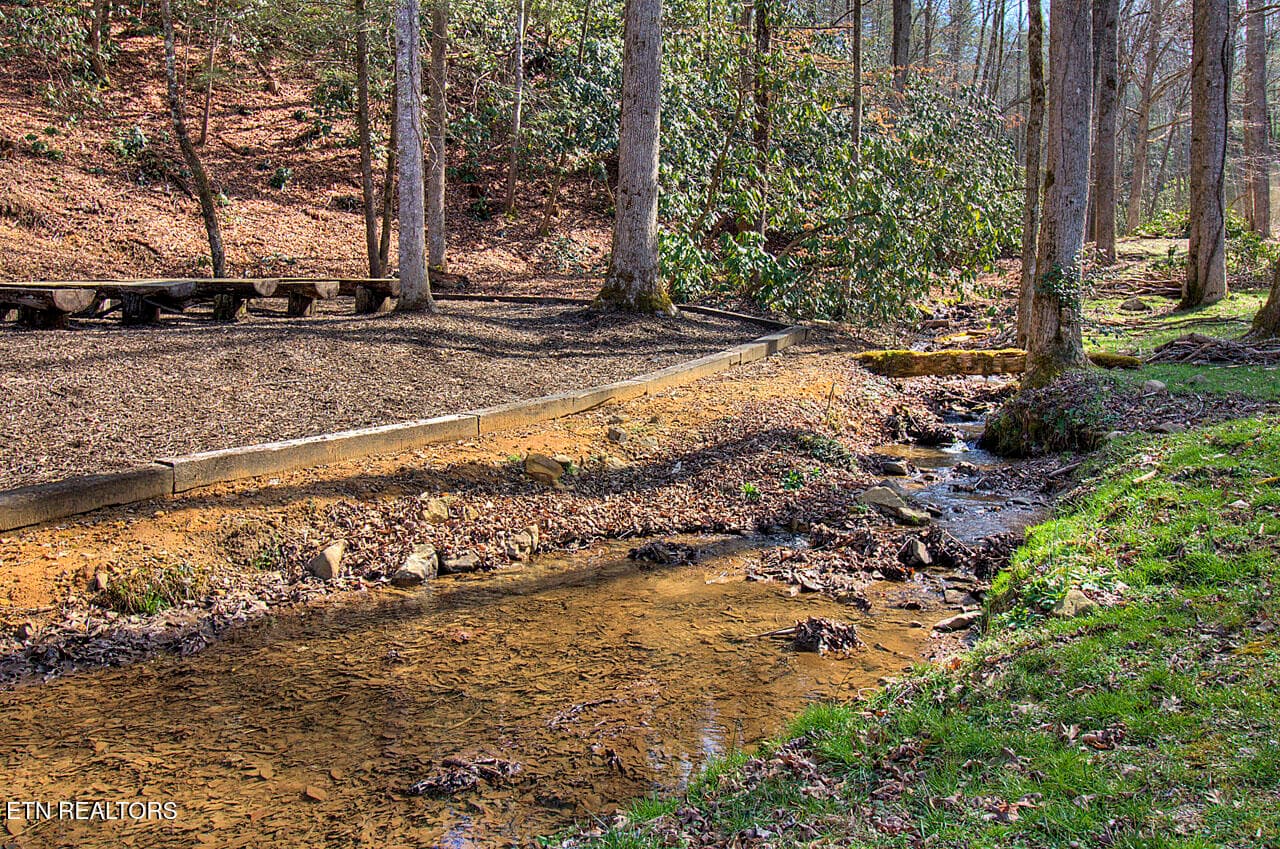 Creek next to chapel - 2050 E Millers Cove Rd, Walland, TN 37886