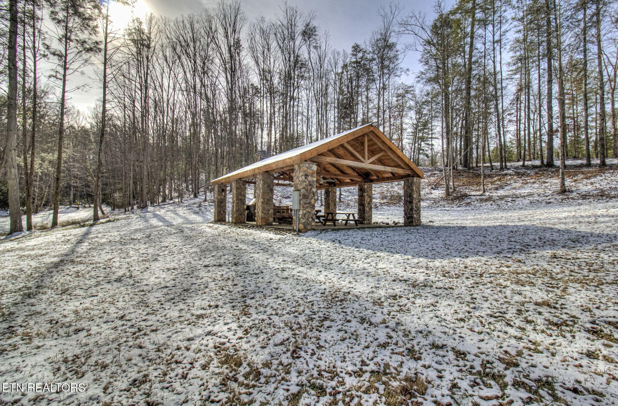 IMG_3523 - 2050 E Millers Cove Rd, Walland, TN 37886