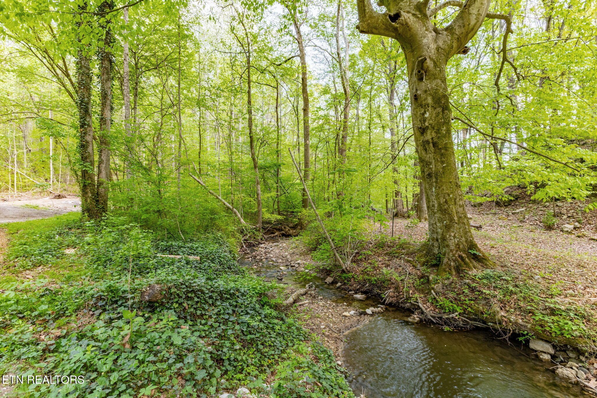 2-web-or-mls-3F1A4972-HDR - 8 ac +/-Tollgate Rd, Rockwood, TN 37854