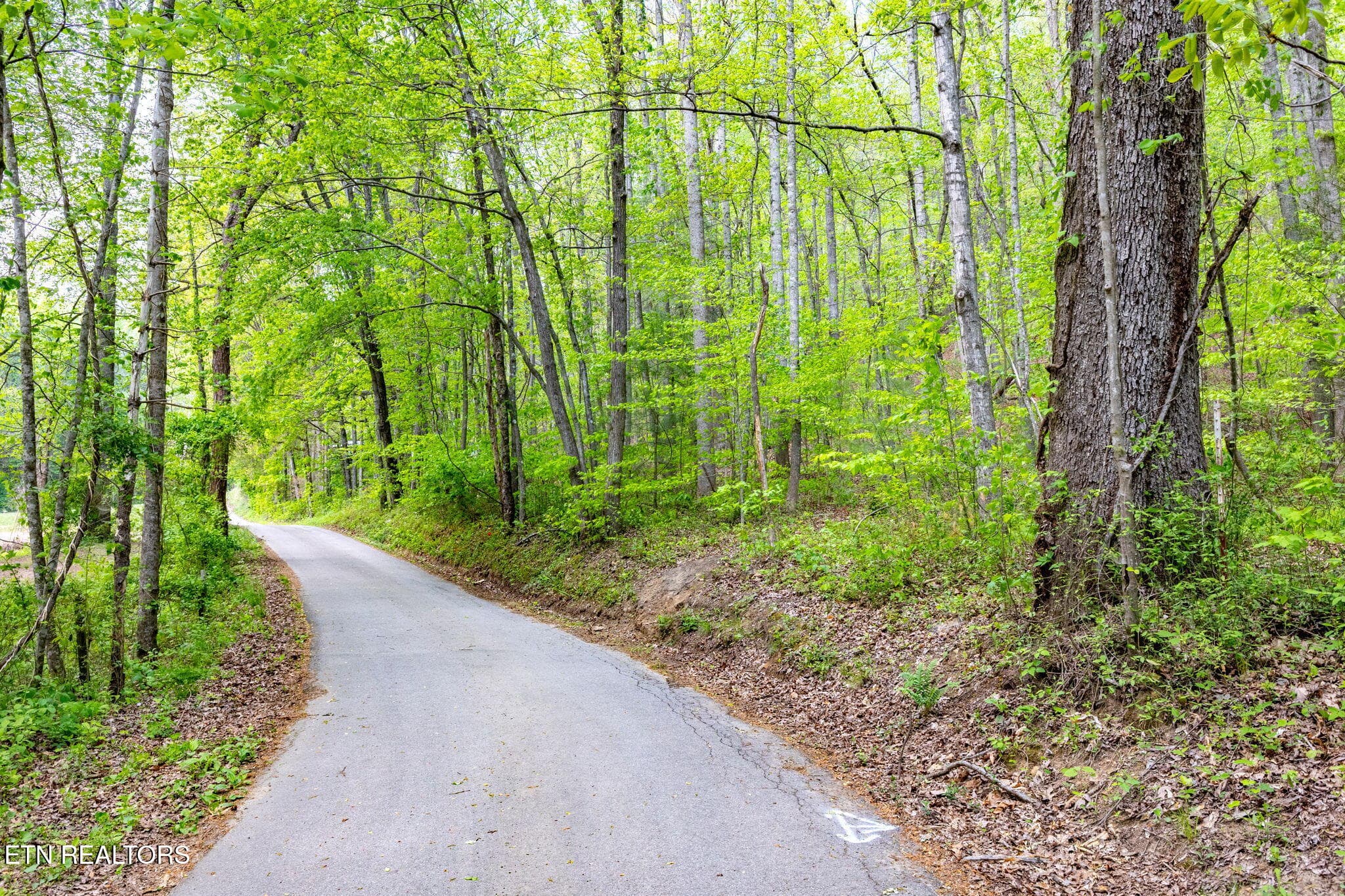 8-web-or-mls-3F1A4990-HDR - 8 ac +/-Tollgate Rd, Rockwood, TN 37854