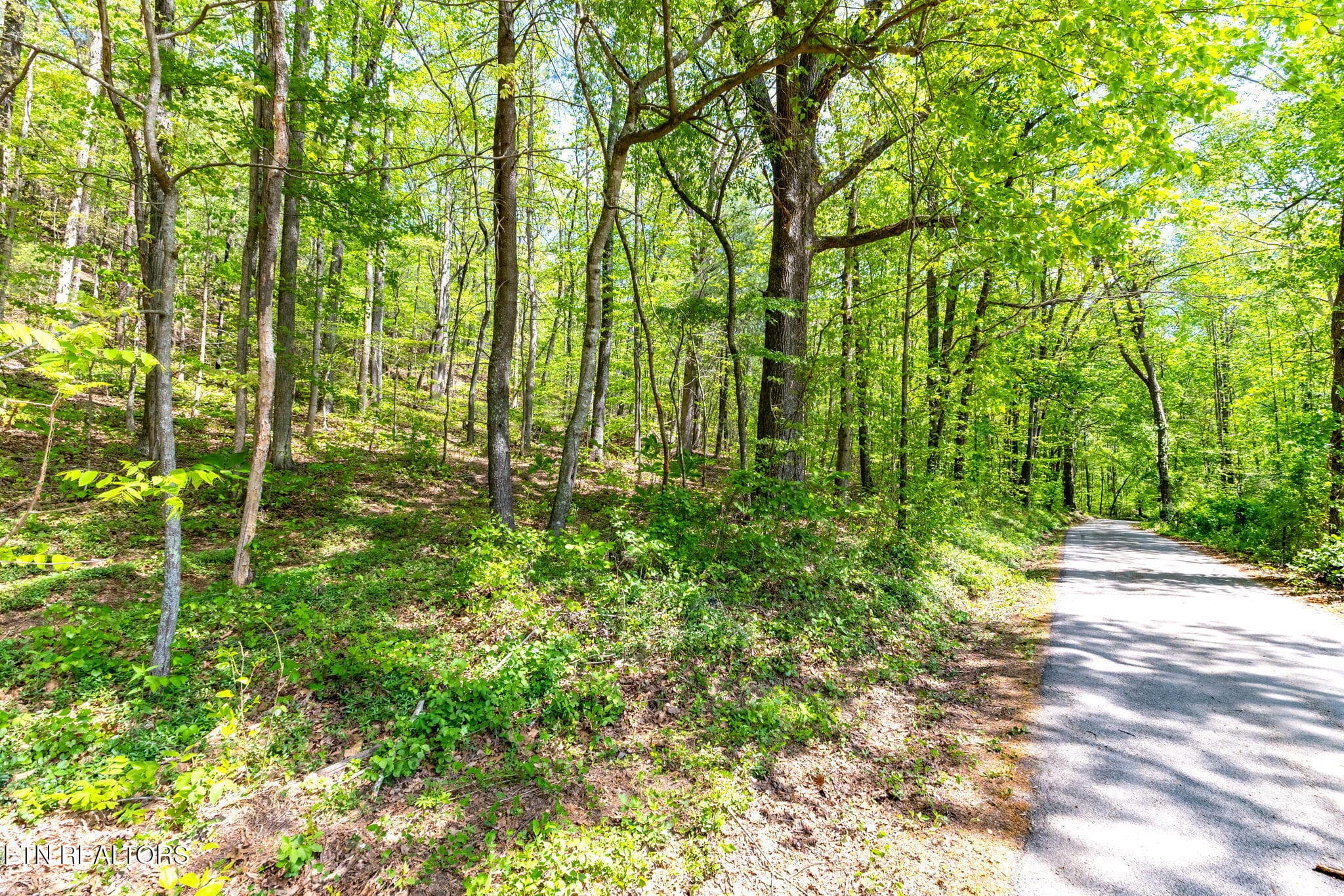 10-web-or-mls-3F1A4996-HDR - 8 ac +/-Tollgate Rd, Rockwood, TN 37854