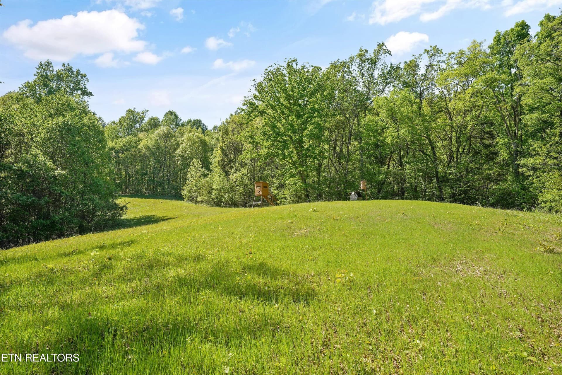 49-2869 Persian Ln45 - 2869 Persian Lane, New Market, TN 37820