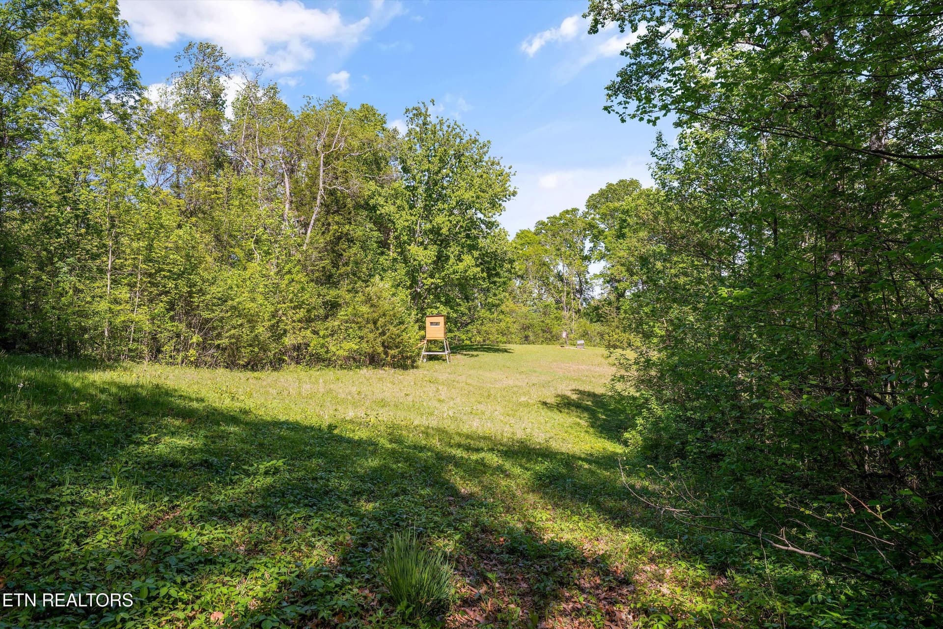47-2869 Persian Ln43 - 2869 Persian Lane, New Market, TN 37820