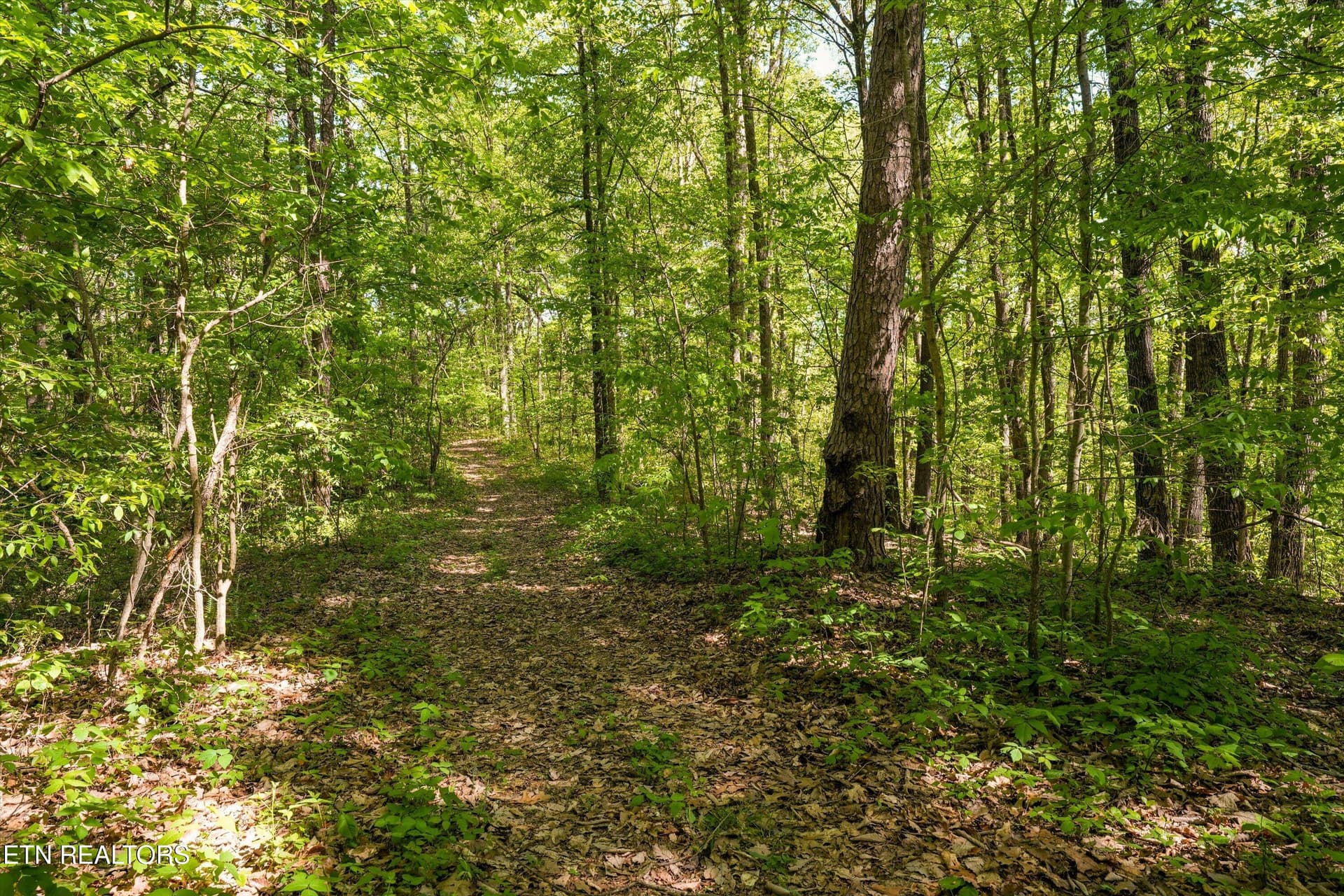 46-2869 Persian Ln42 - 2869 Persian Lane, New Market, TN 37820