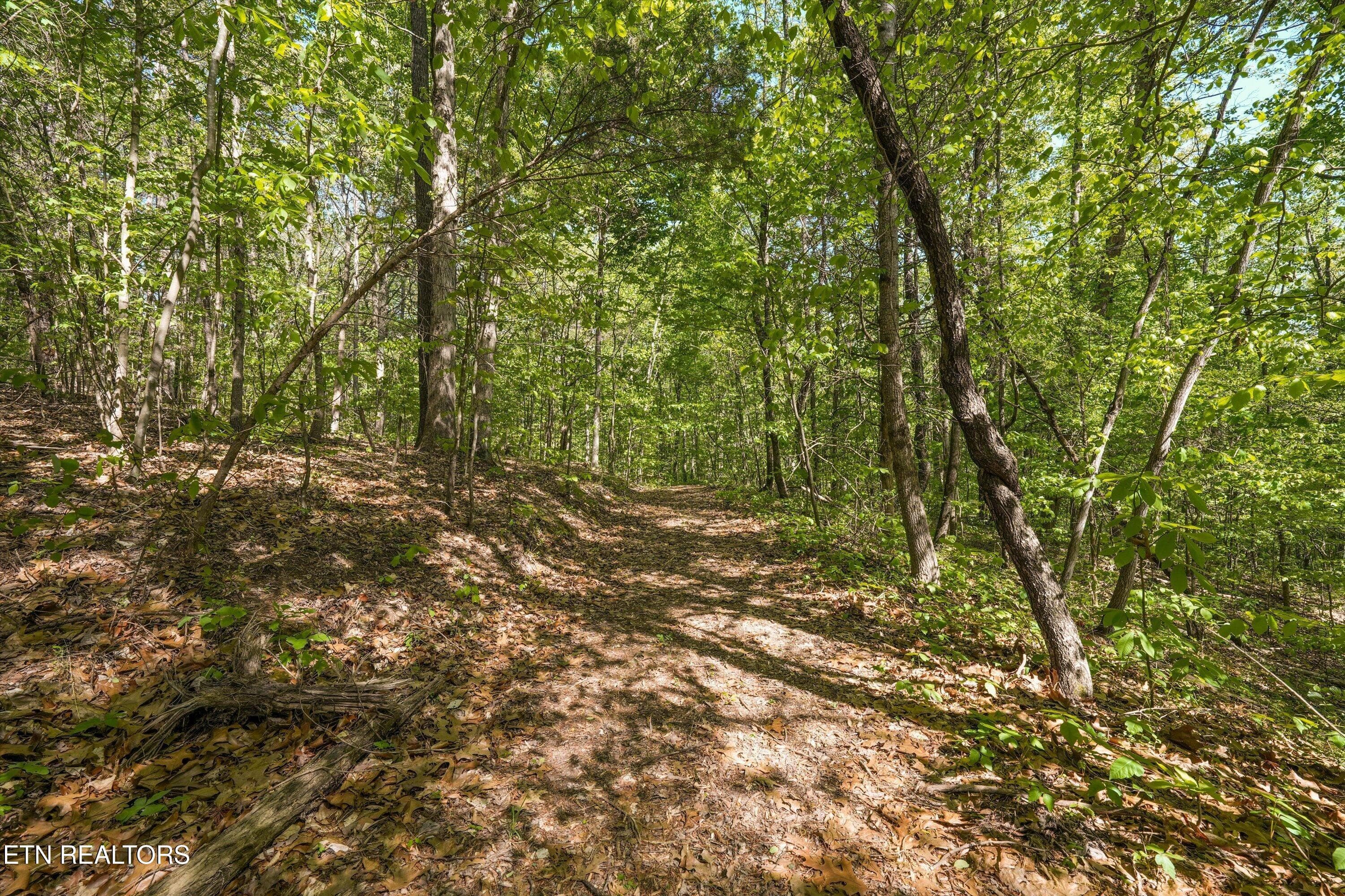 45-2869 Persian Ln41 - 2869 Persian Lane, New Market, TN 37820, New Market
