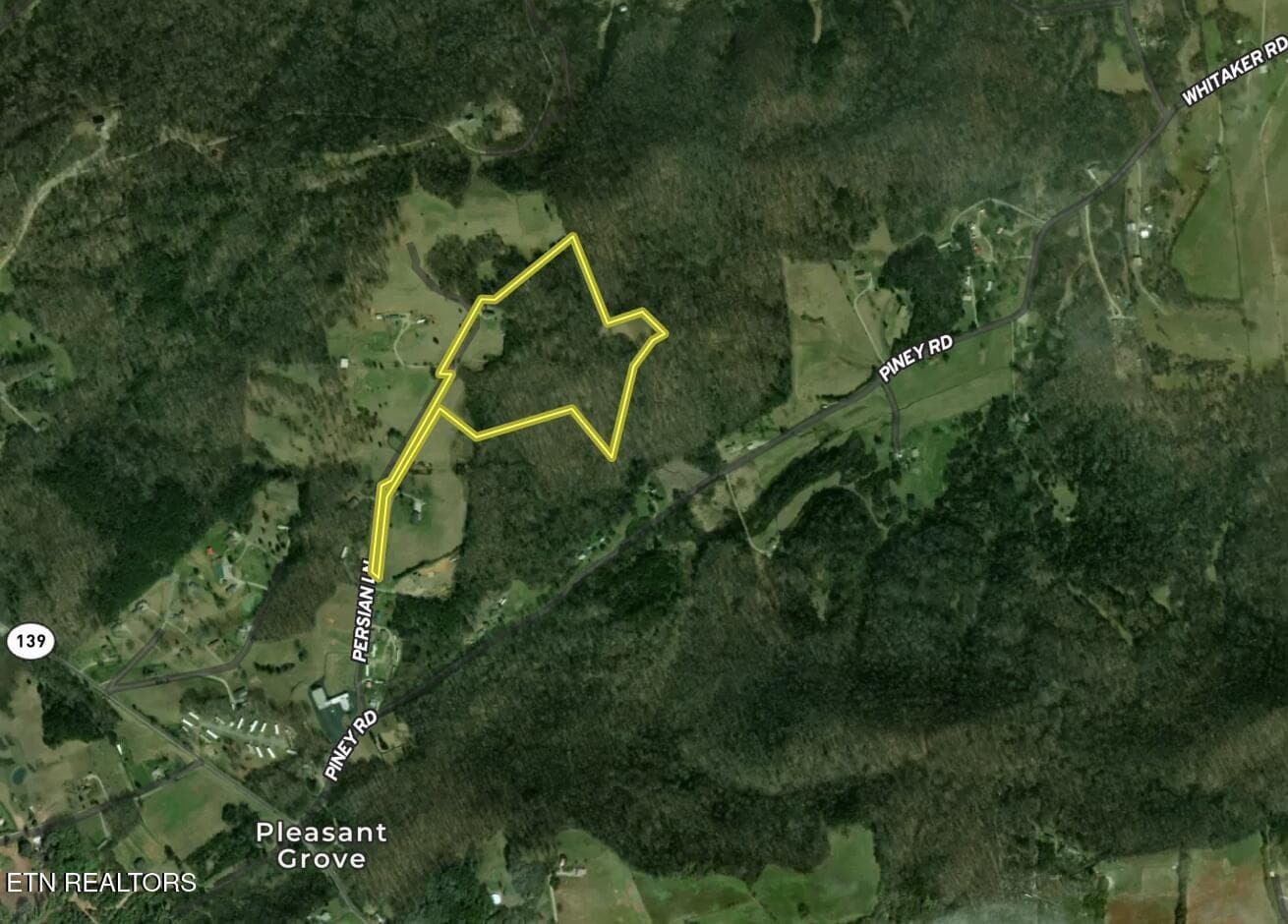 Screenshot 2026-04-17 at 4.16.14PM - 2869 Persian Lane, New Market, TN 37820, New Market