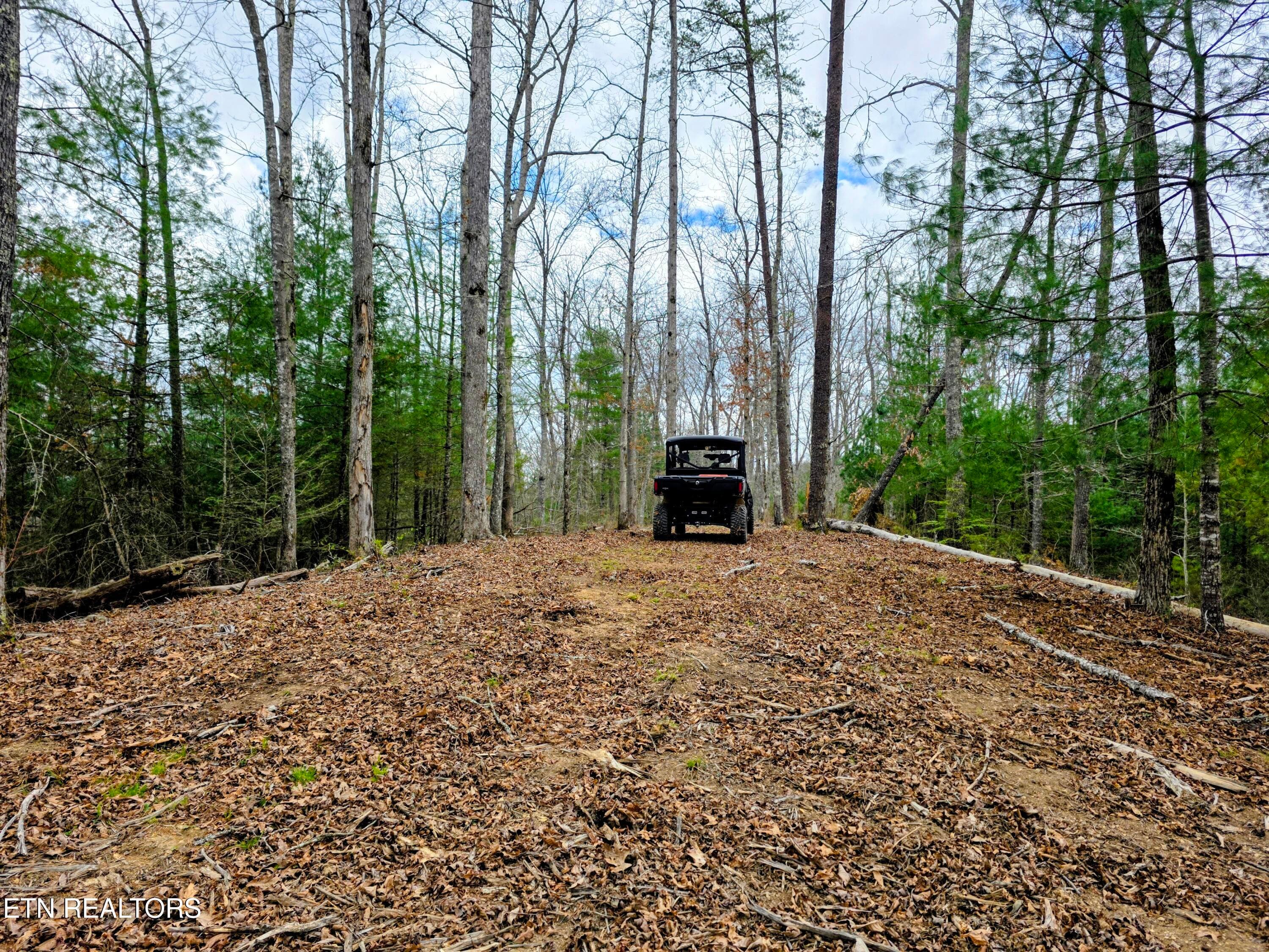 Wide plateau above the lodge - 2050 E Millers Cove Rd, Walland, TN 37886