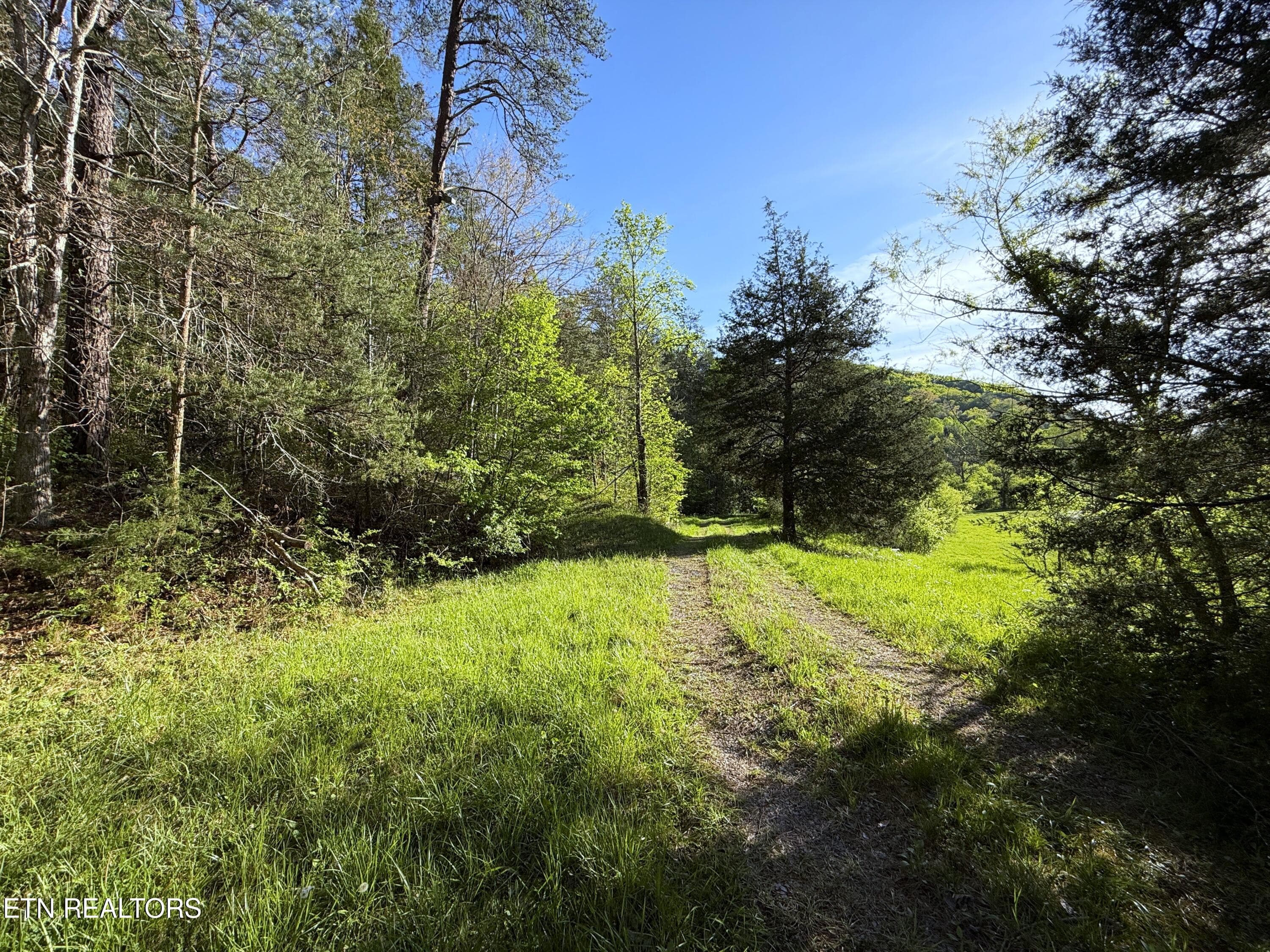 23a - 2930 Arch Way, Cosby, TN 37722