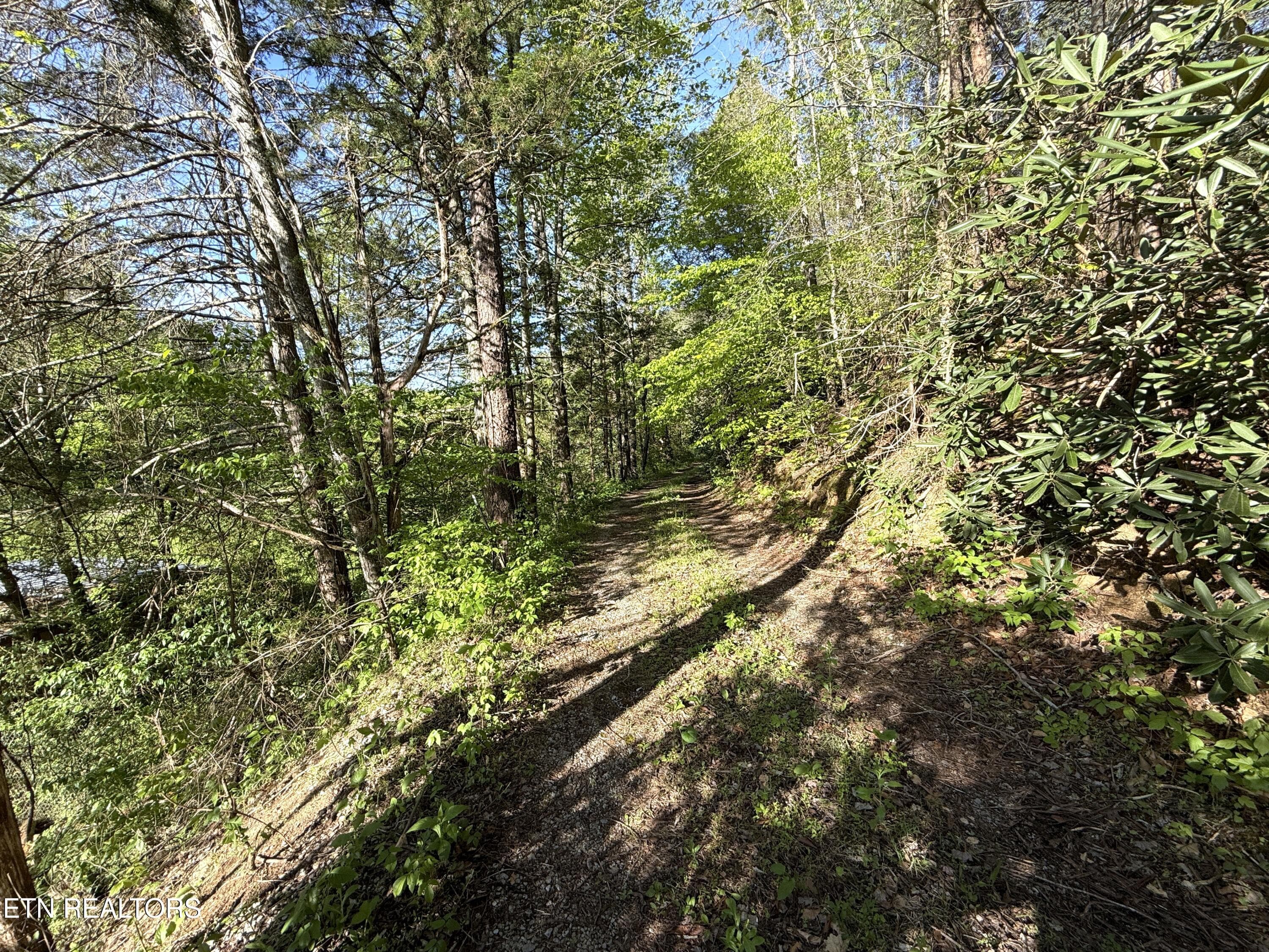 24 - 2930 Arch Way, Cosby, TN 37722