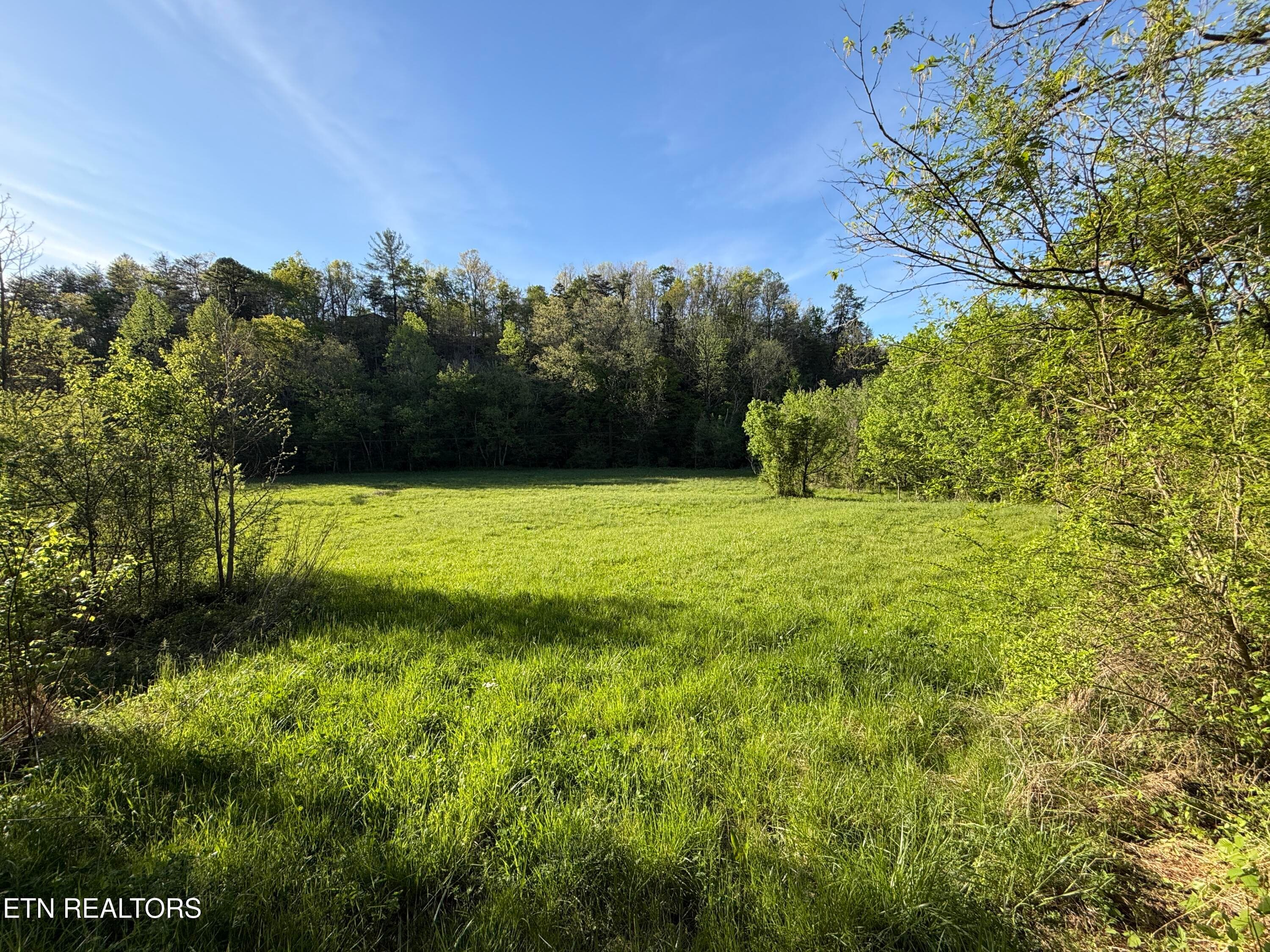 26 - 2930 Arch Way, Cosby, TN 37722