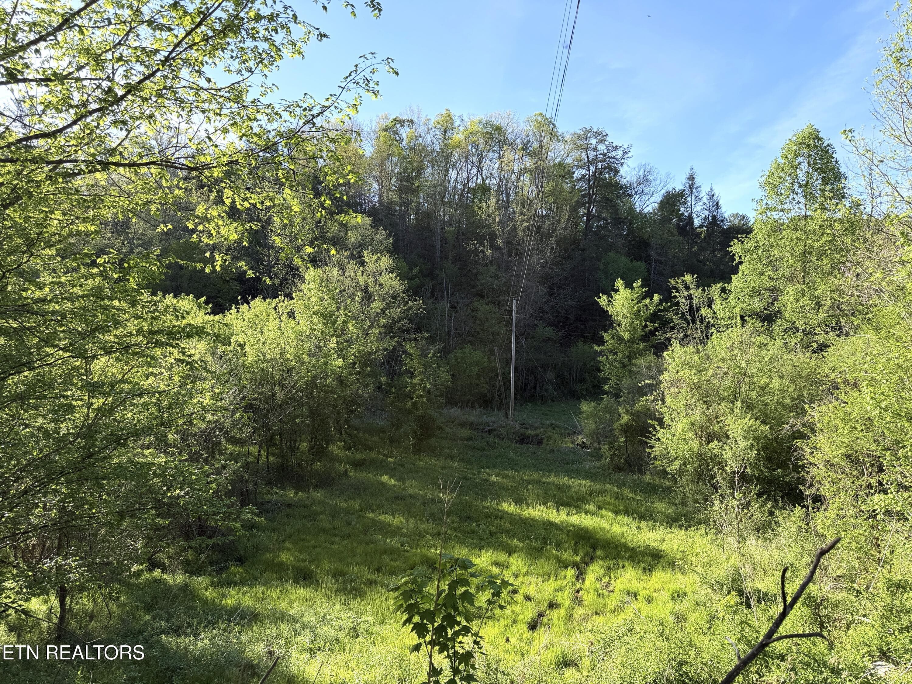 30 - 2930 Arch Way, Cosby, TN 37722