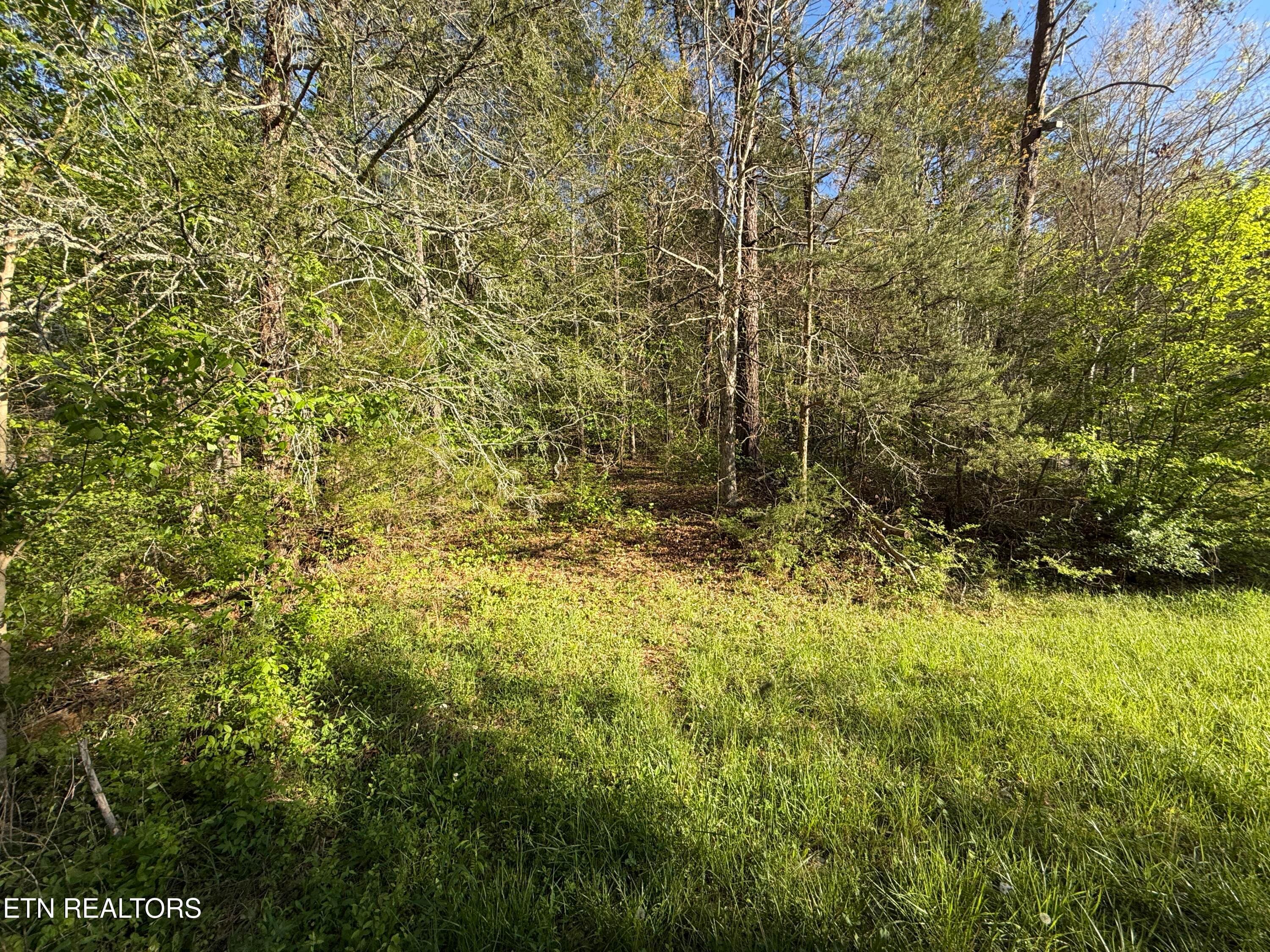31 - 2930 Arch Way, Cosby, TN 37722