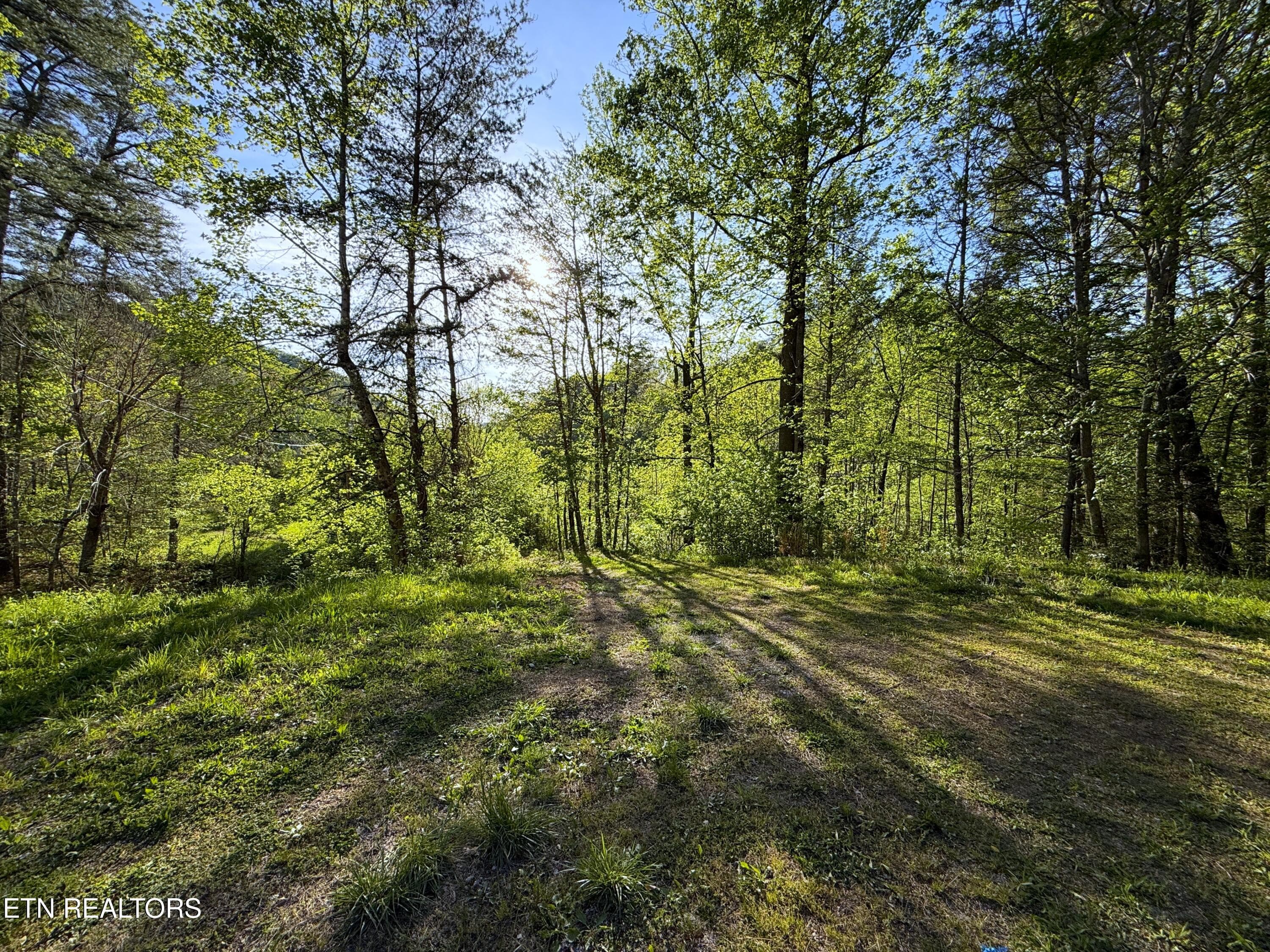 32 - 2930 Arch Way, Cosby, TN 37722