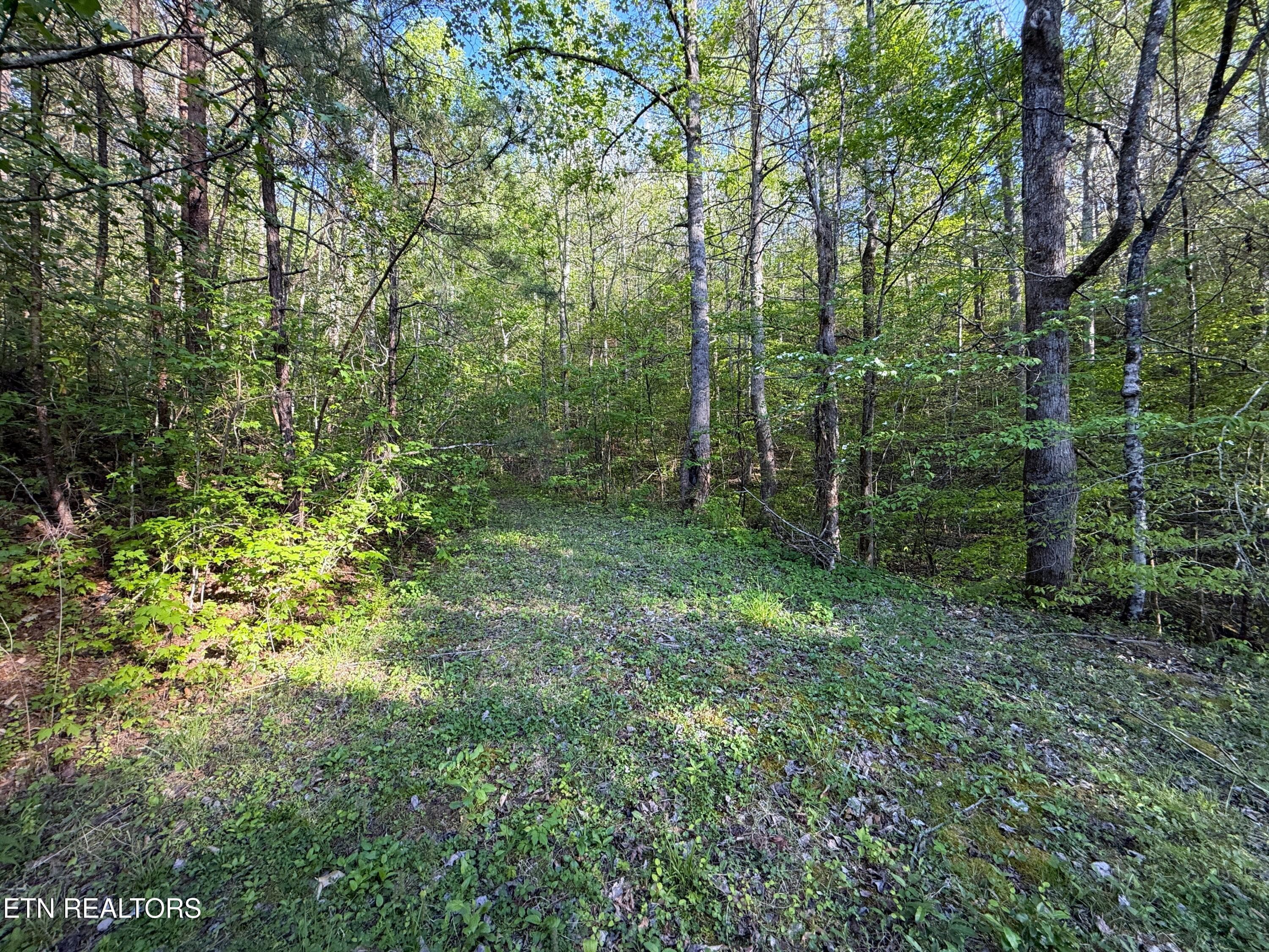 33 - 2930 Arch Way, Cosby, TN 37722