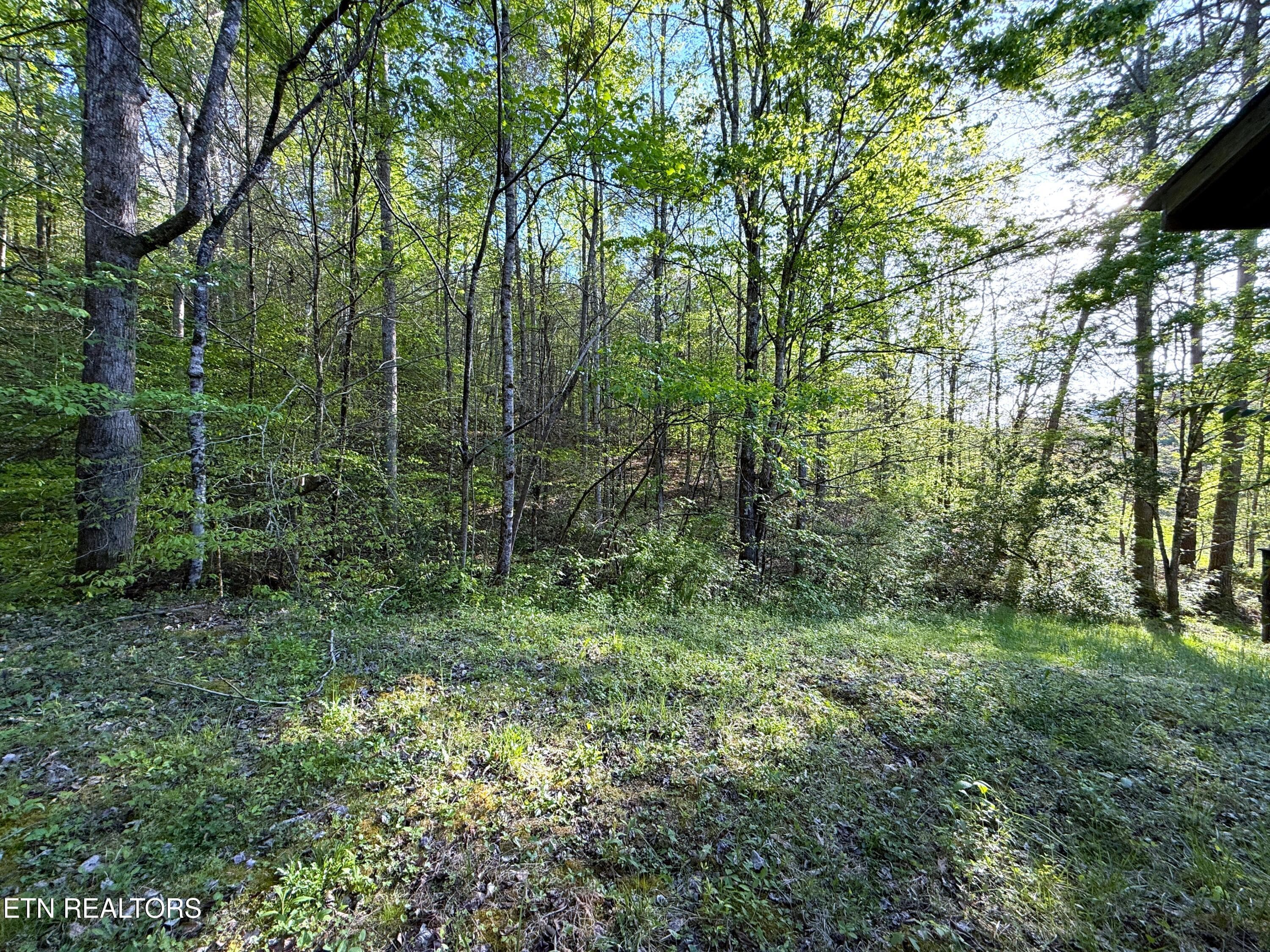 34 - 2930 Arch Way, Cosby, TN 37722