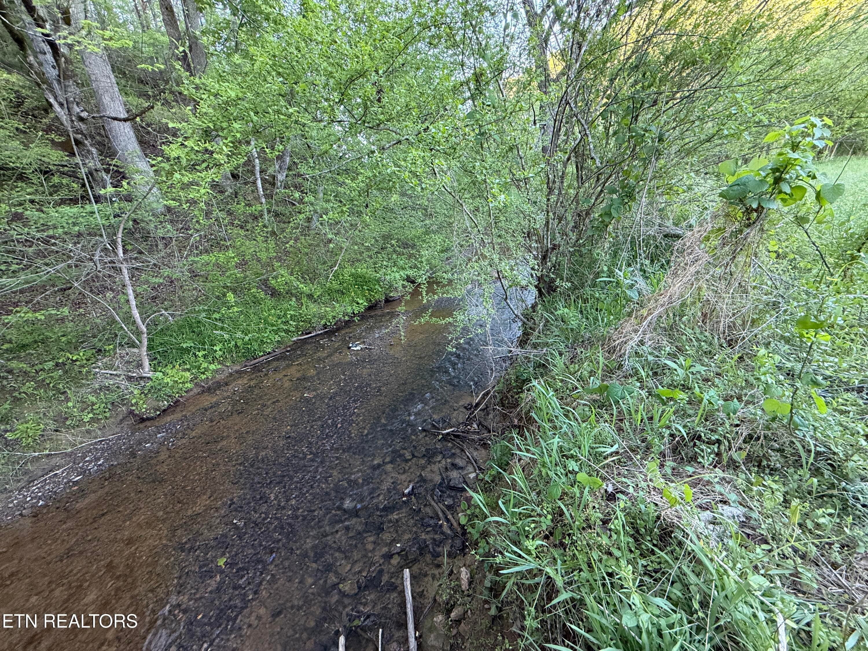38 - 2930 Arch Way, Cosby, TN 37722