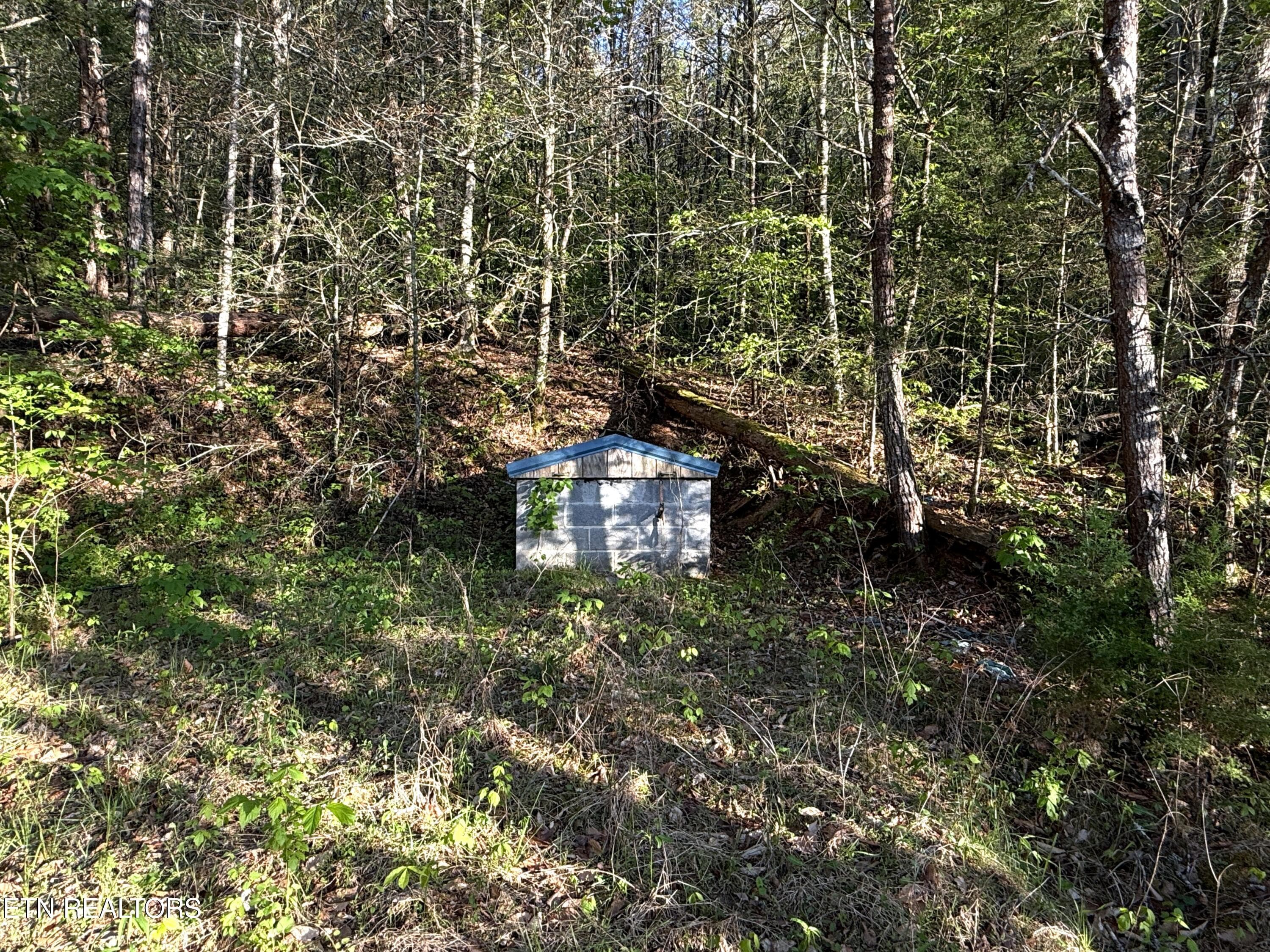 39 - 2930 Arch Way, Cosby, TN 37722