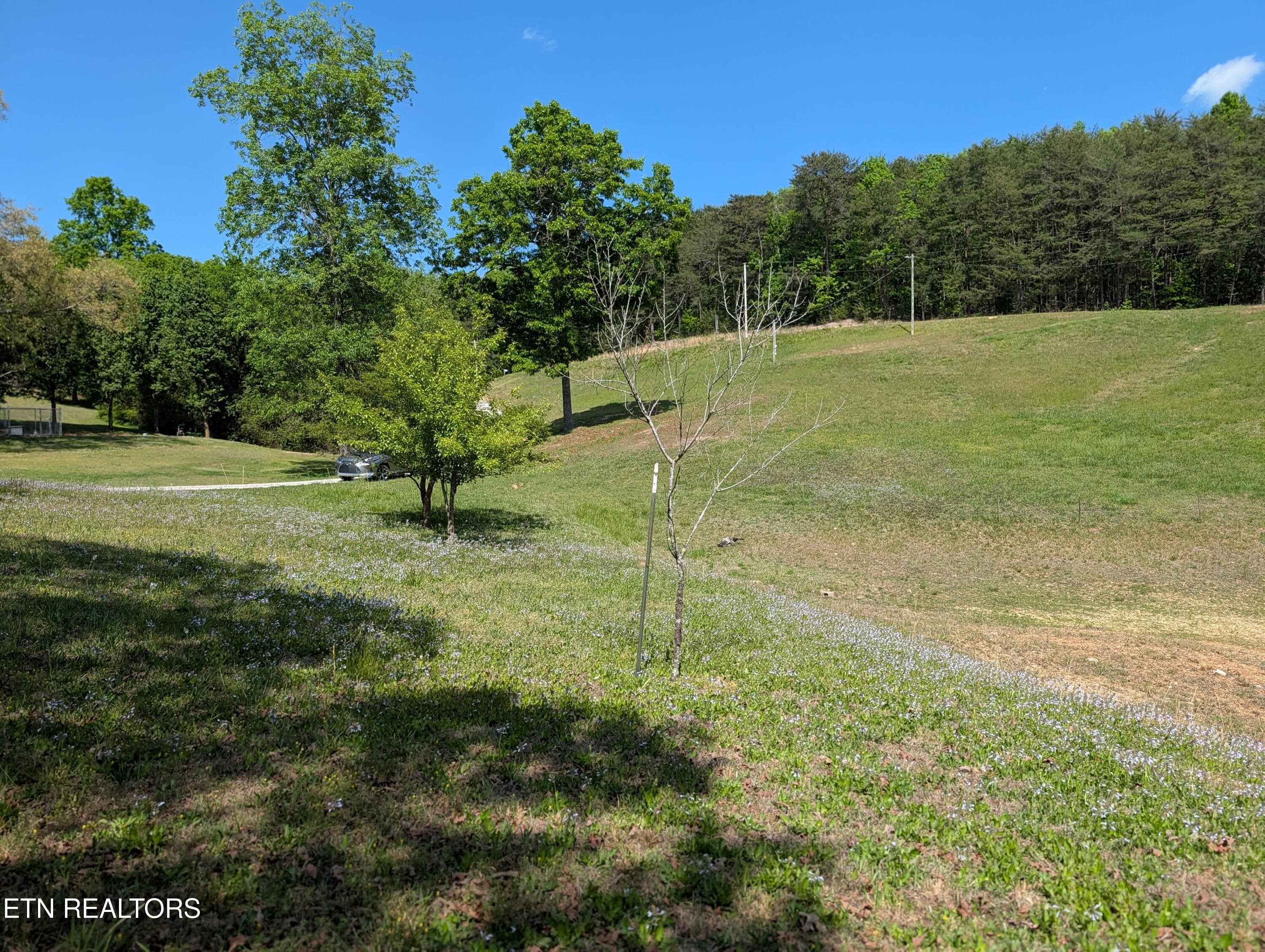 PXL_20260417_193753232.PORTRAIT - 135 Garren Hart Lane, Spring City, TN 37381