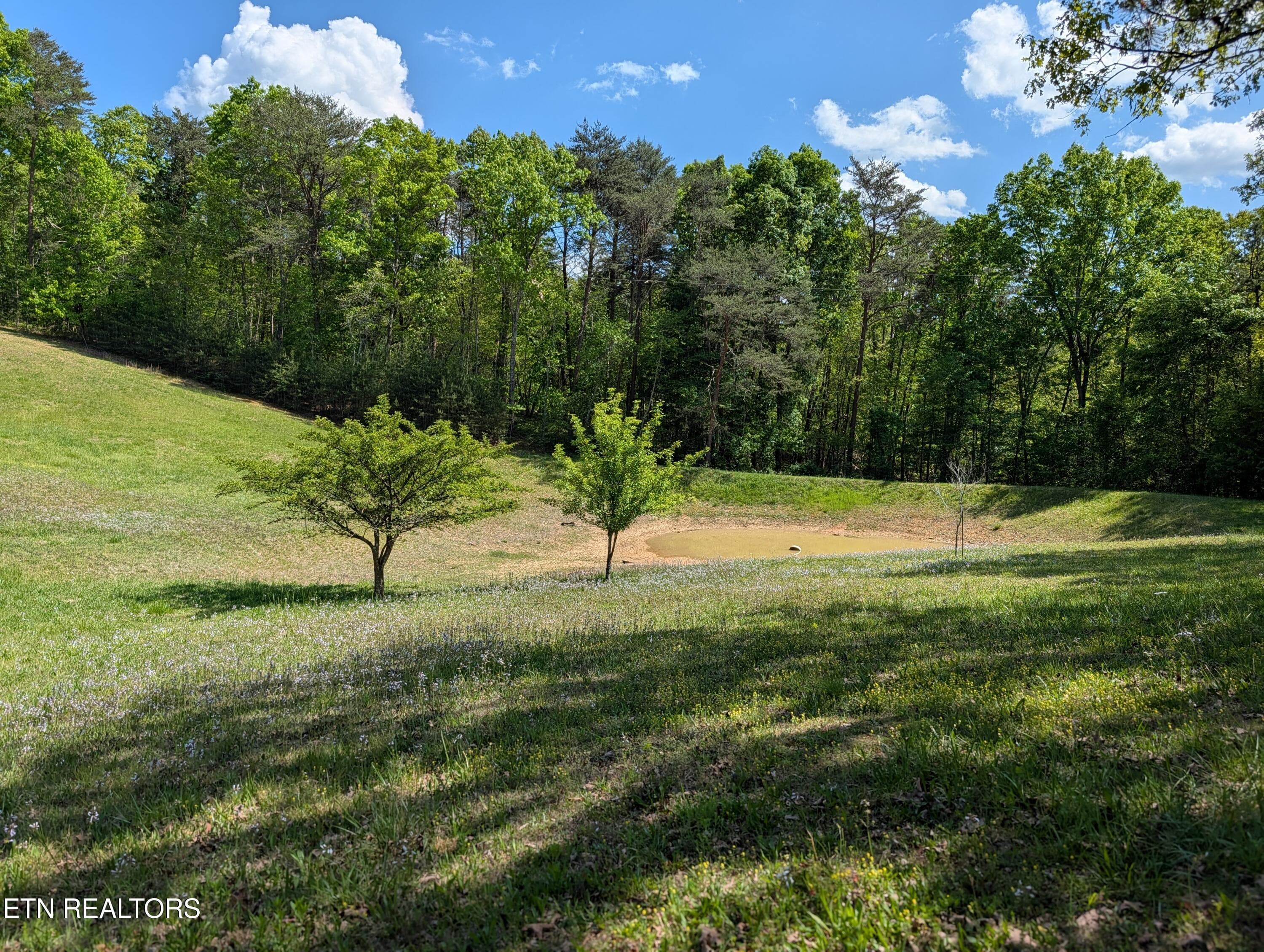 PXL_20260417_193551446.PORTRAIT - 135 Garren Hart Lane, Spring City, TN 37381