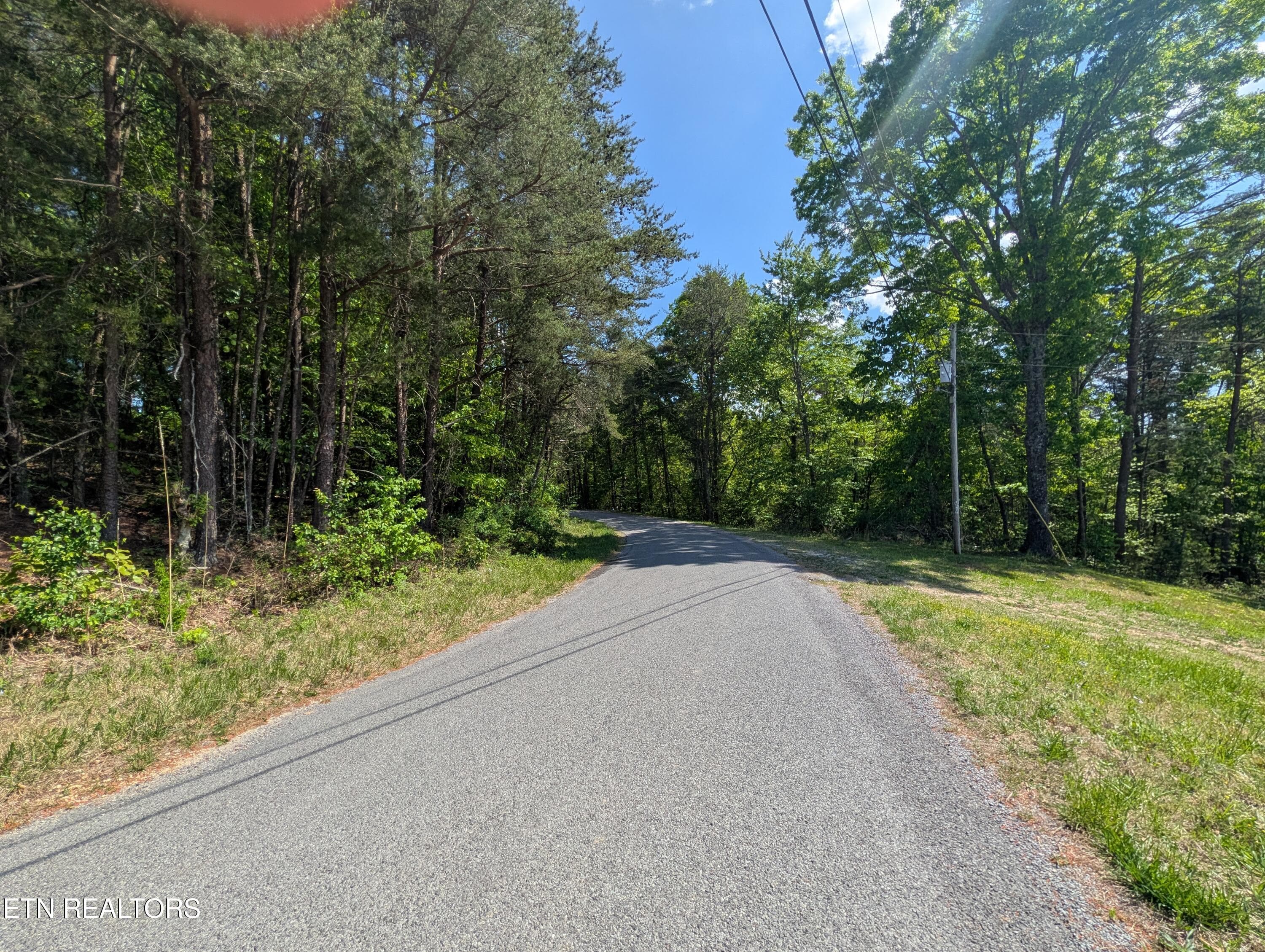 PXL_20260417_193152928 - 135 Garren Hart Lane, Spring City, TN 37381
