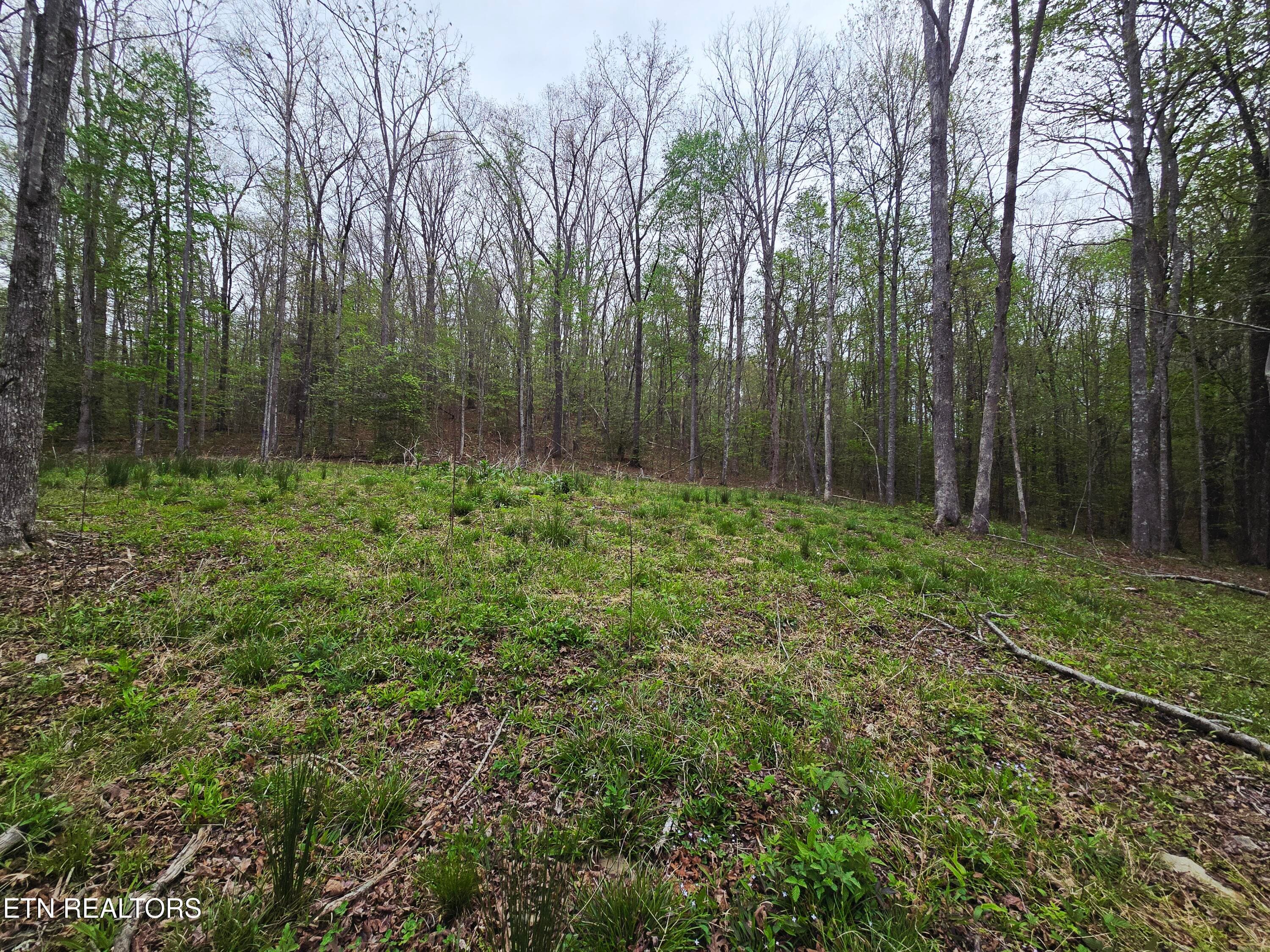 20260413_153807 - 0 Scott-Fentress Co. Line, Allardt, TN 38504
