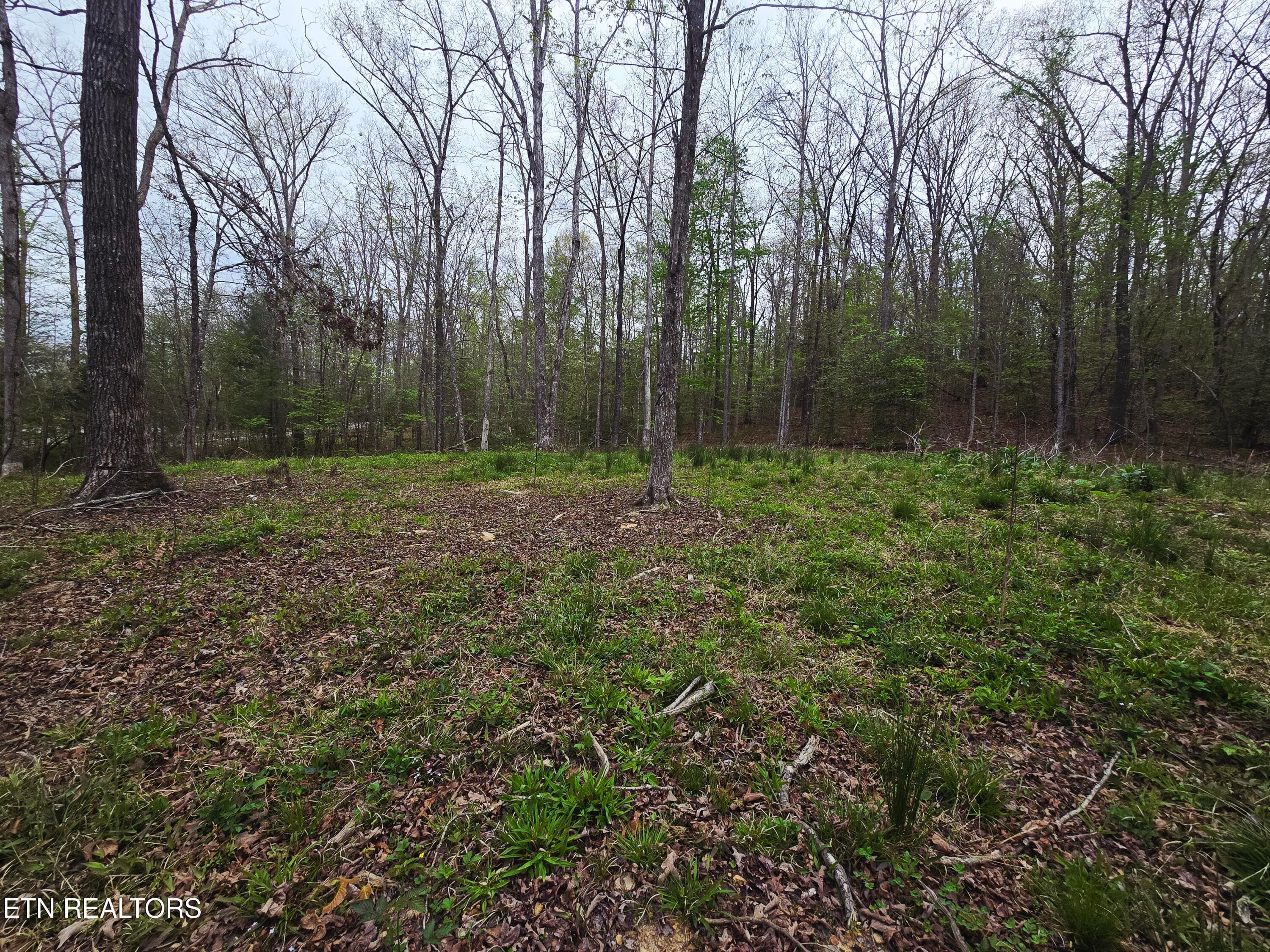 20260413_153805 - 0 Scott-Fentress Co. Line, Allardt, TN 38504