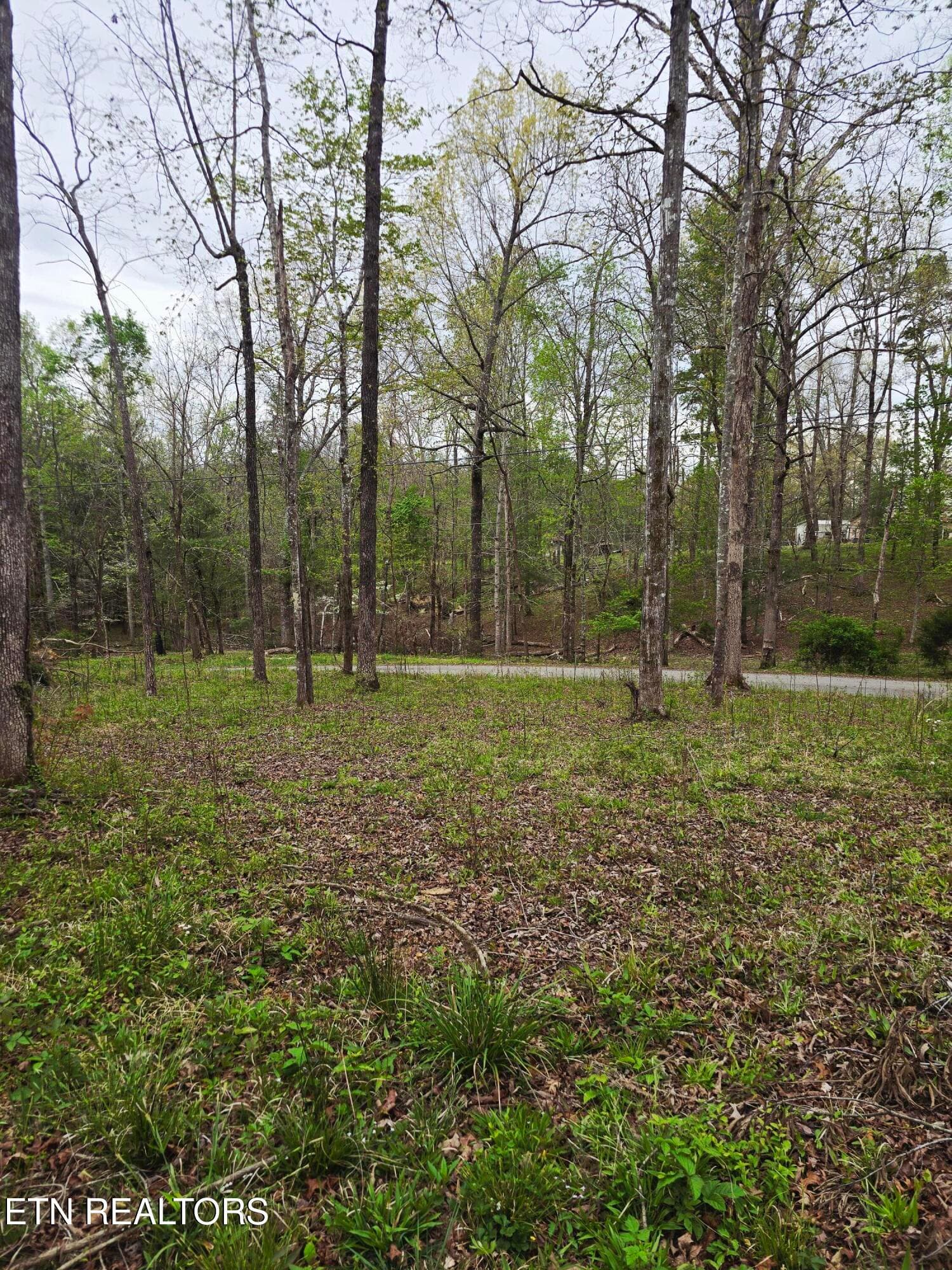 0 Scott-Fentress Co. Line, Allardt, TN 38504