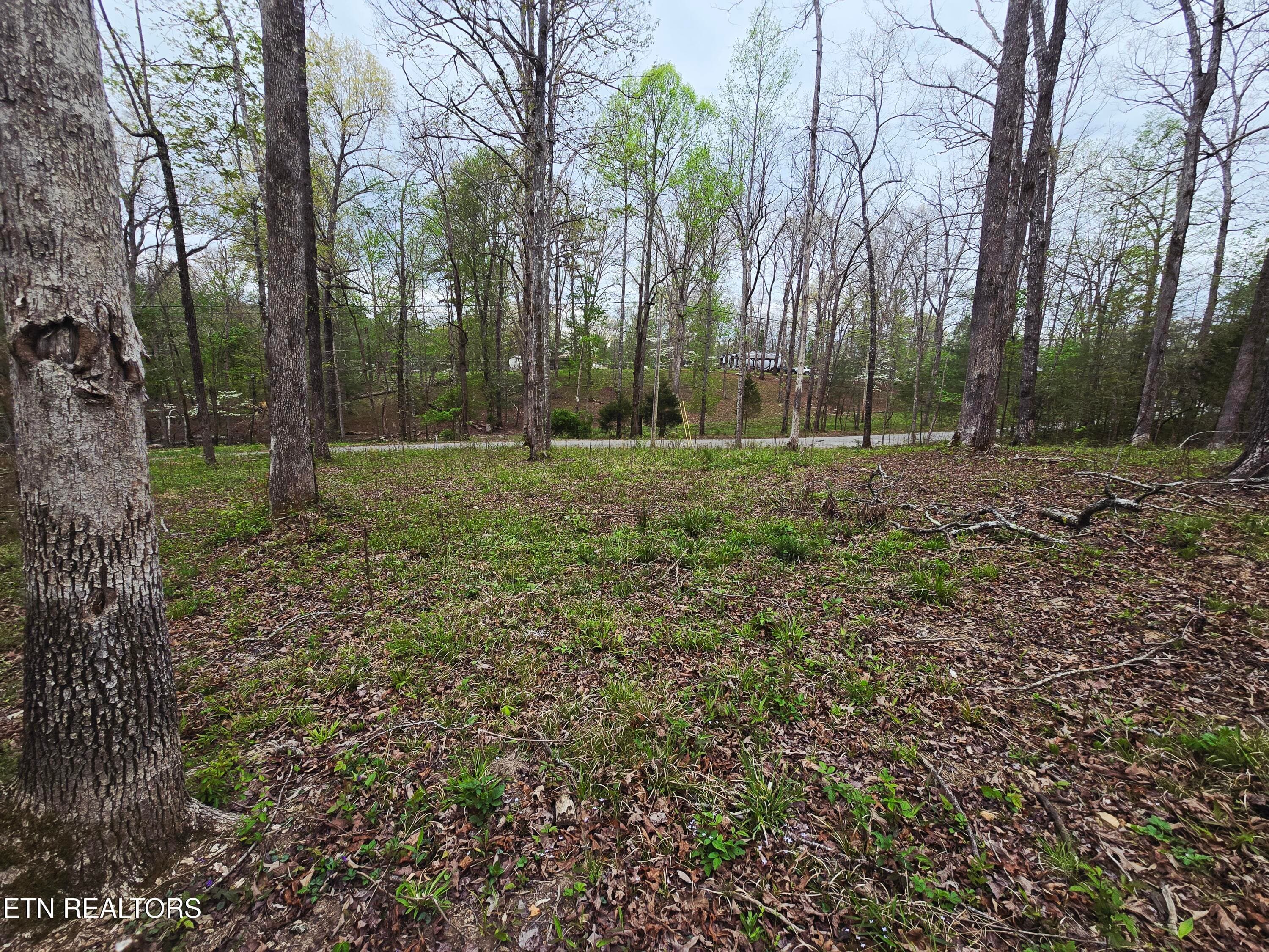 20260413_153803 - 0 Scott-Fentress Co. Line, Allardt, TN 38504