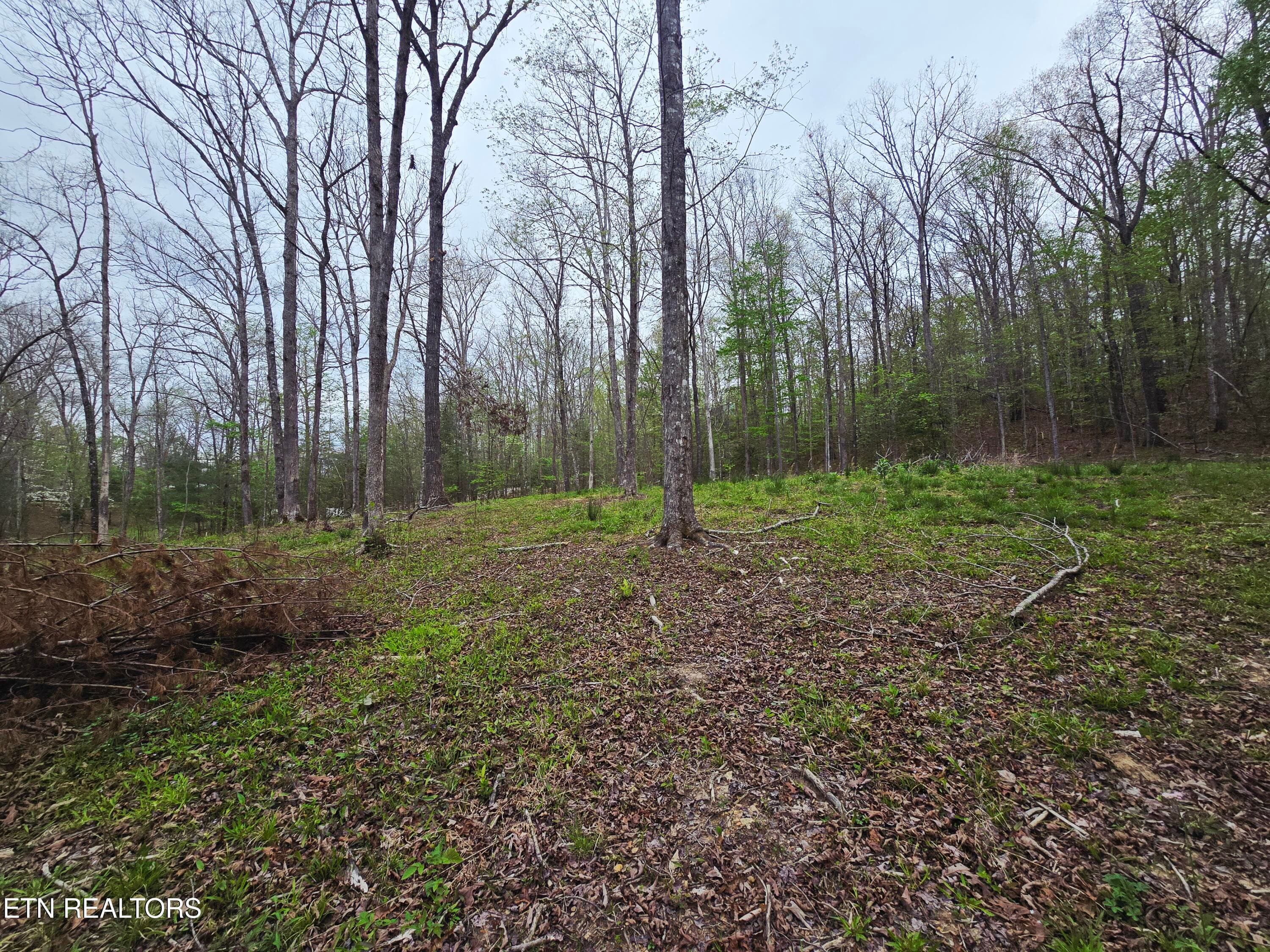 20260413_153753 - 0 Scott-Fentress Co. Line, Allardt, TN 38504