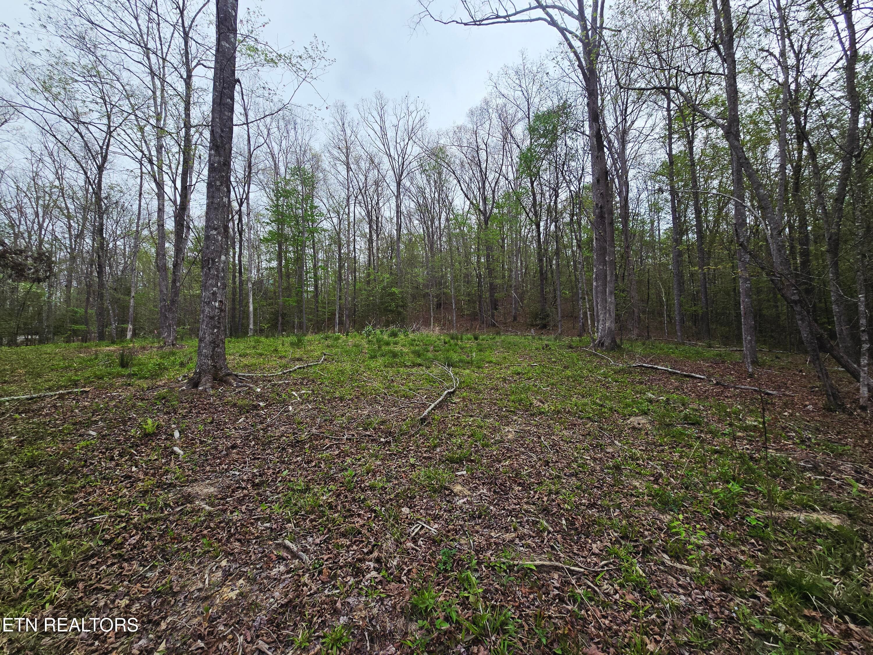 20260413_153752 - 0 Scott-Fentress Co. Line, Allardt, TN 38504