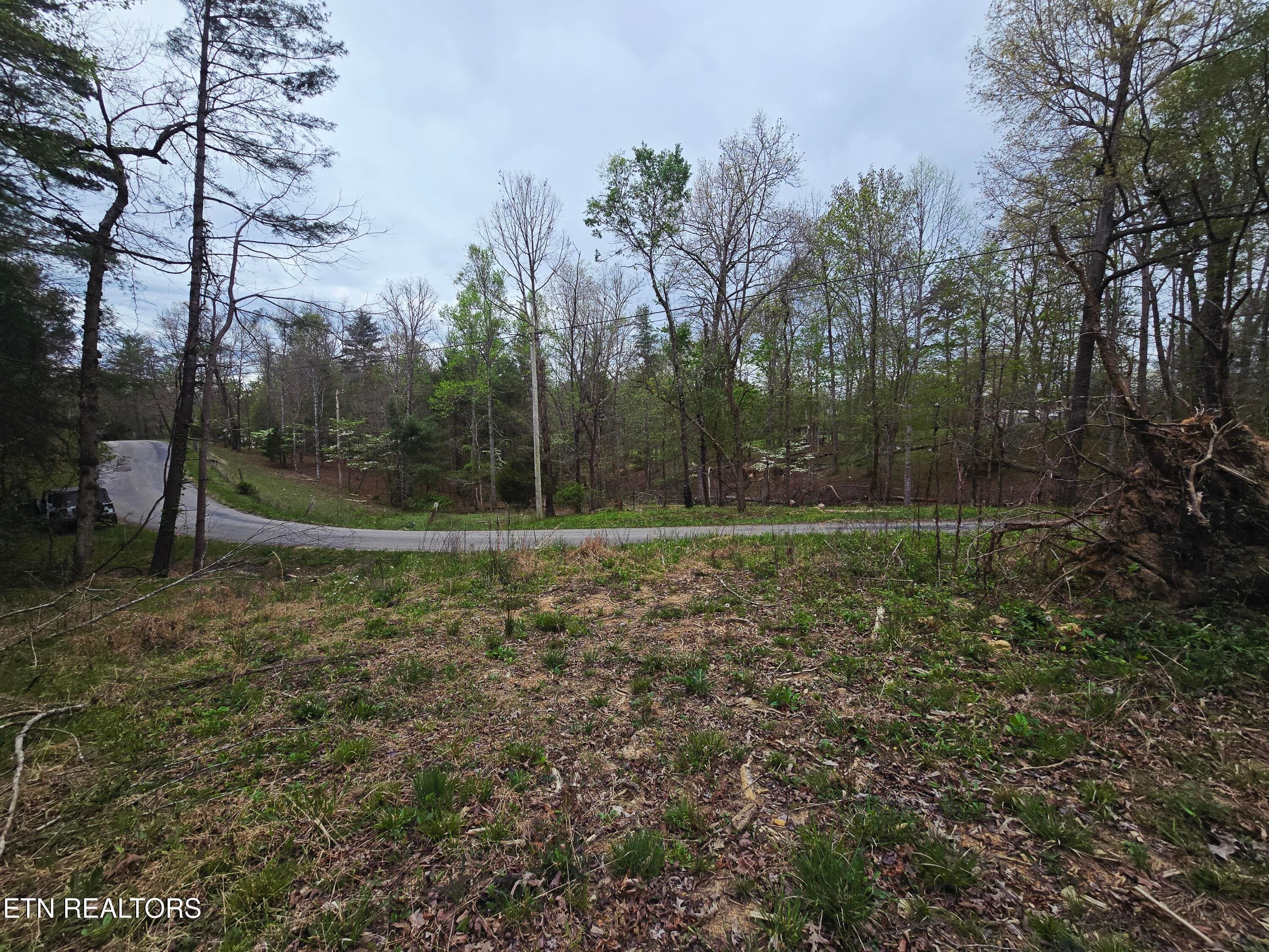 20260413_153732 - 0 Scott-Fentress Co. Line, Allardt, TN 38504