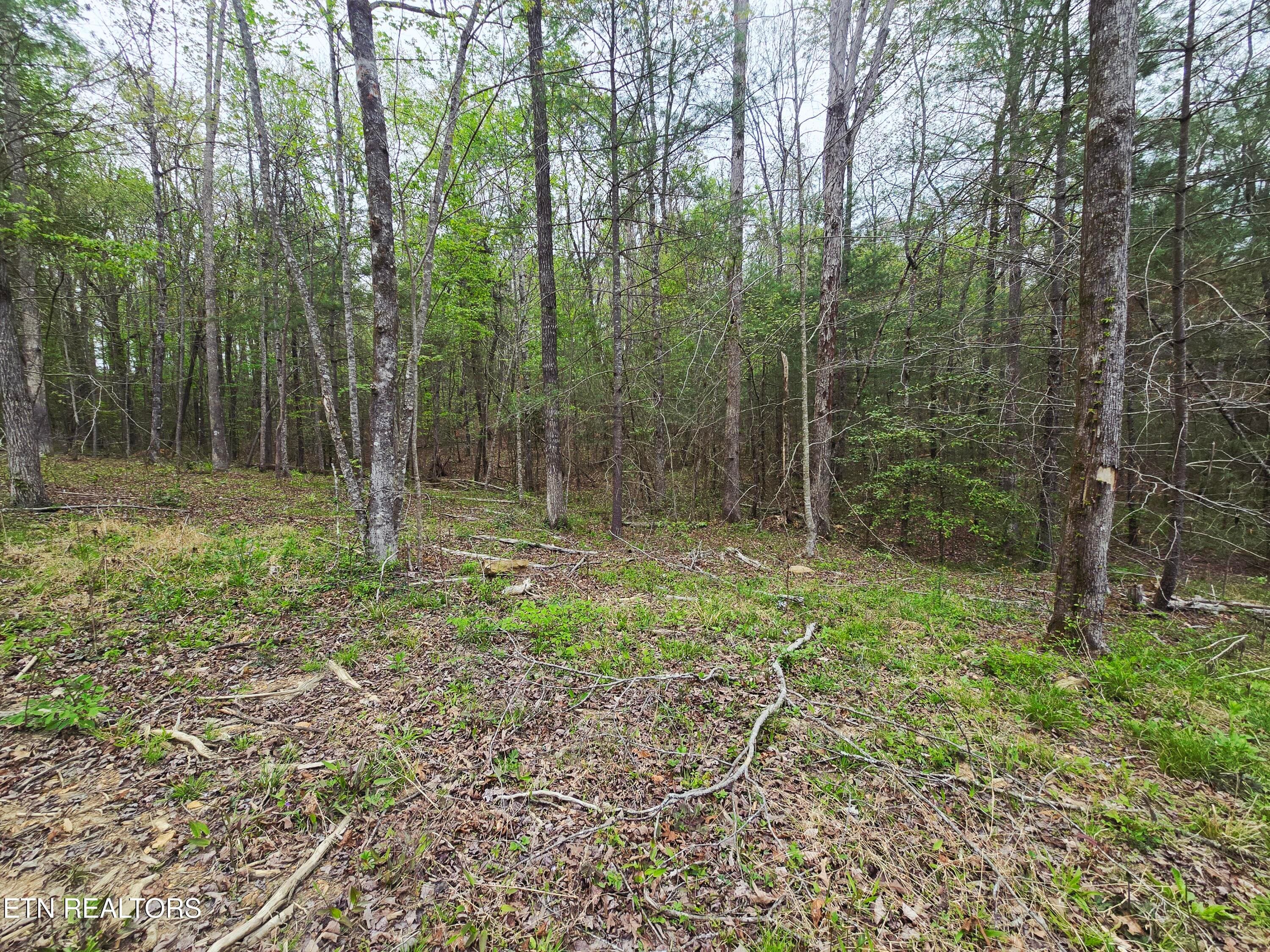 20260413_153730 - 0 Scott-Fentress Co. Line, Allardt, TN 38504