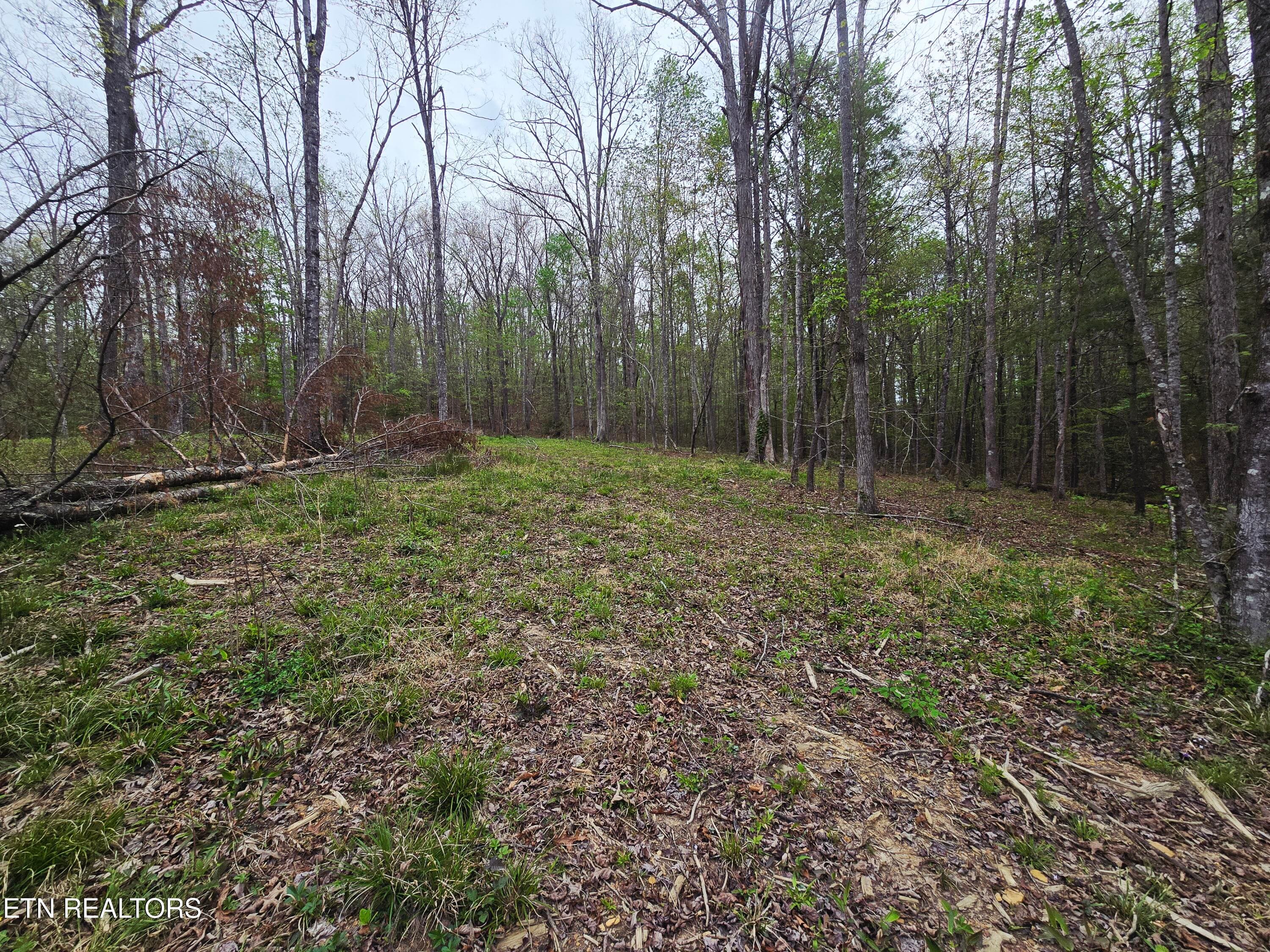 20260413_153728 - 0 Scott-Fentress Co. Line, Allardt, TN 38504