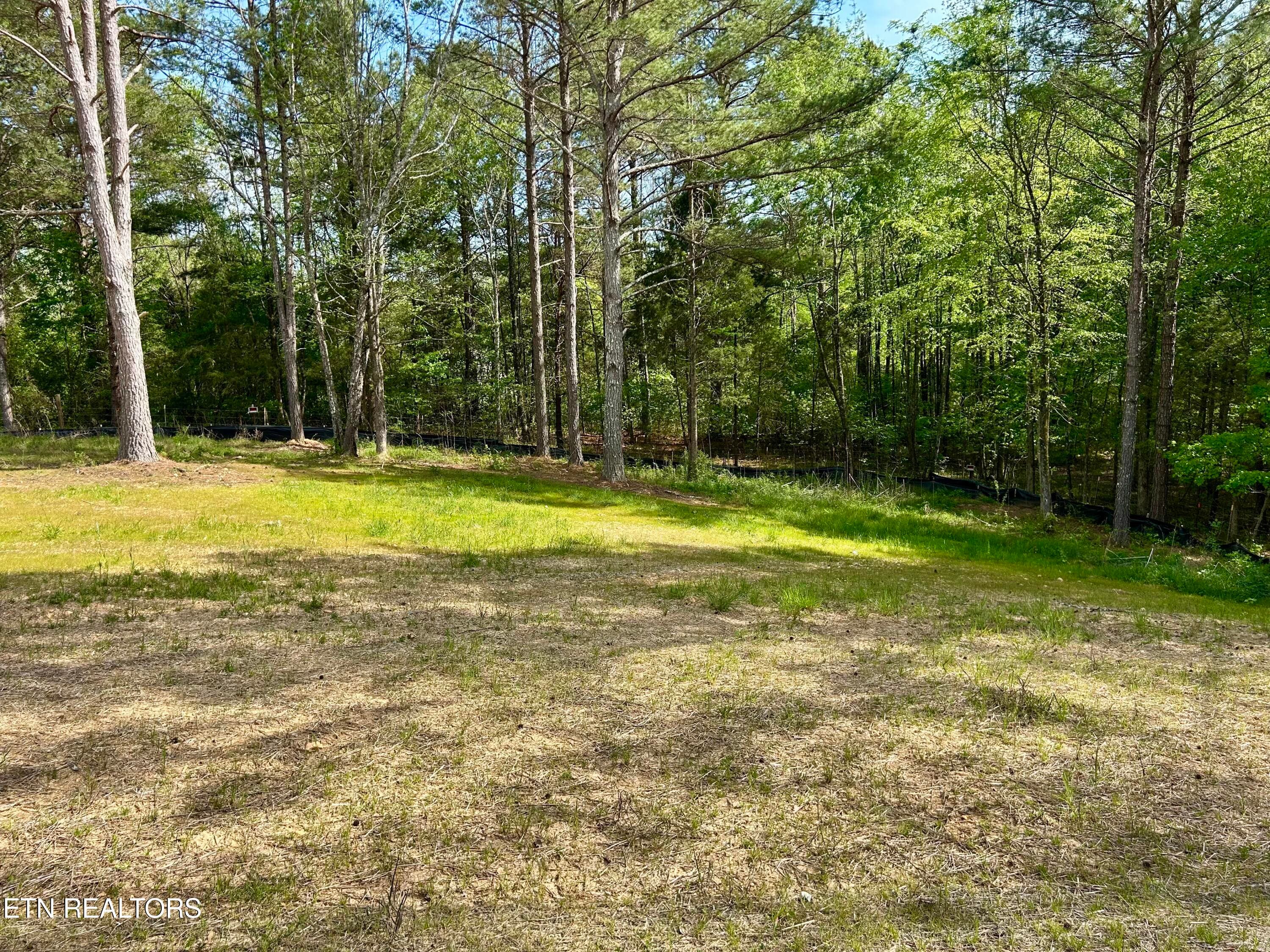 IMG_9448 - 200 Sable Rd, Spring City, TN 37381