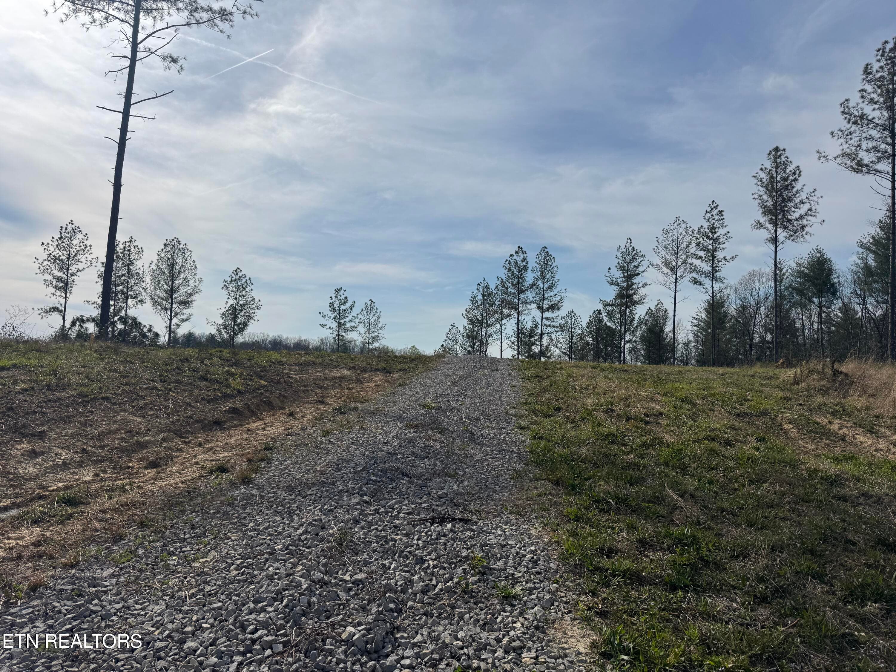 IMG_3246 - Lot #1 Burrville Rd, Sunbright, TN 37872