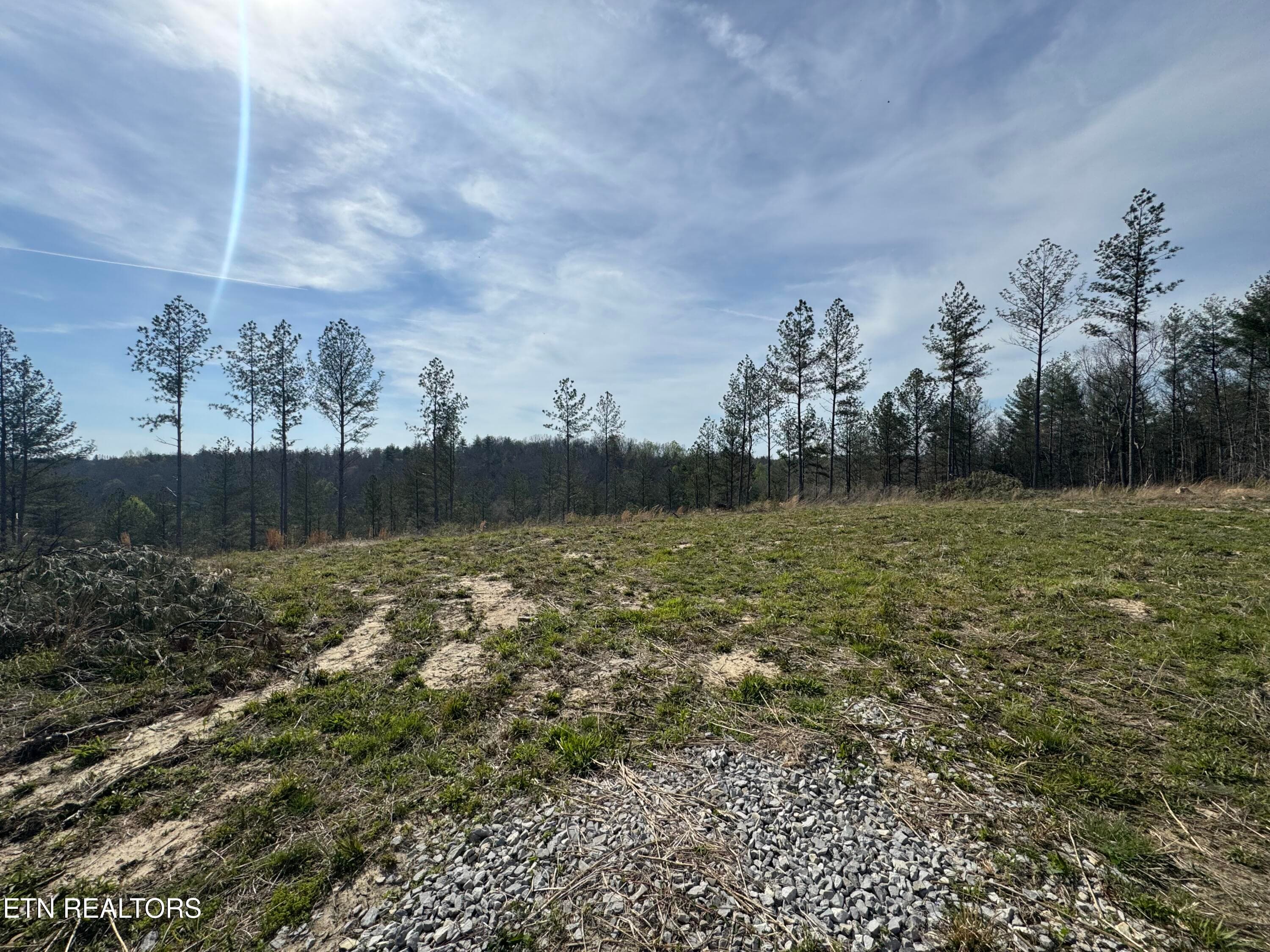 IMG_3229 - Lot #1 Burrville Rd, Sunbright, TN 37872