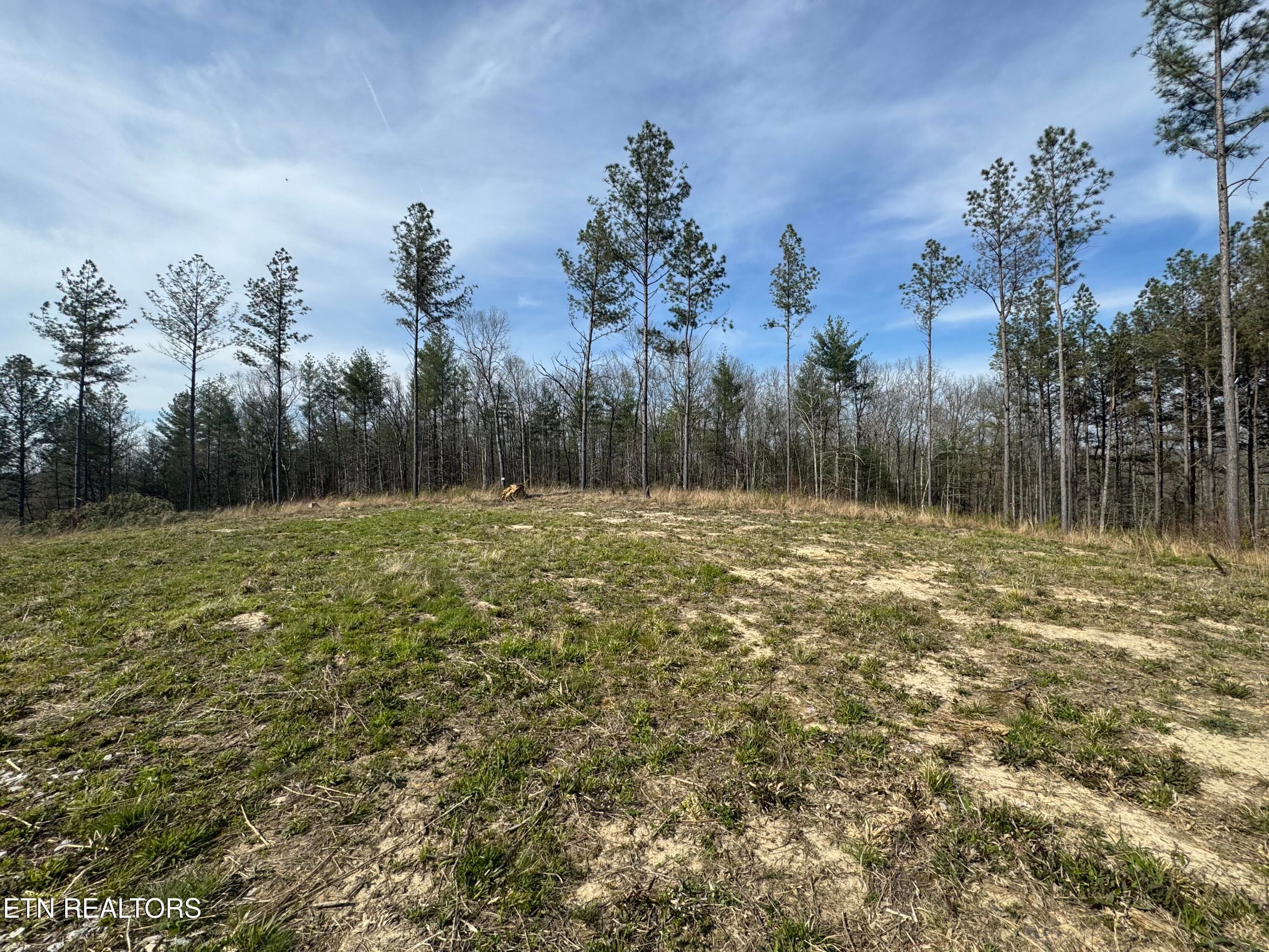 IMG_3230 - Lot #1 Burrville Rd, Sunbright, TN 37872