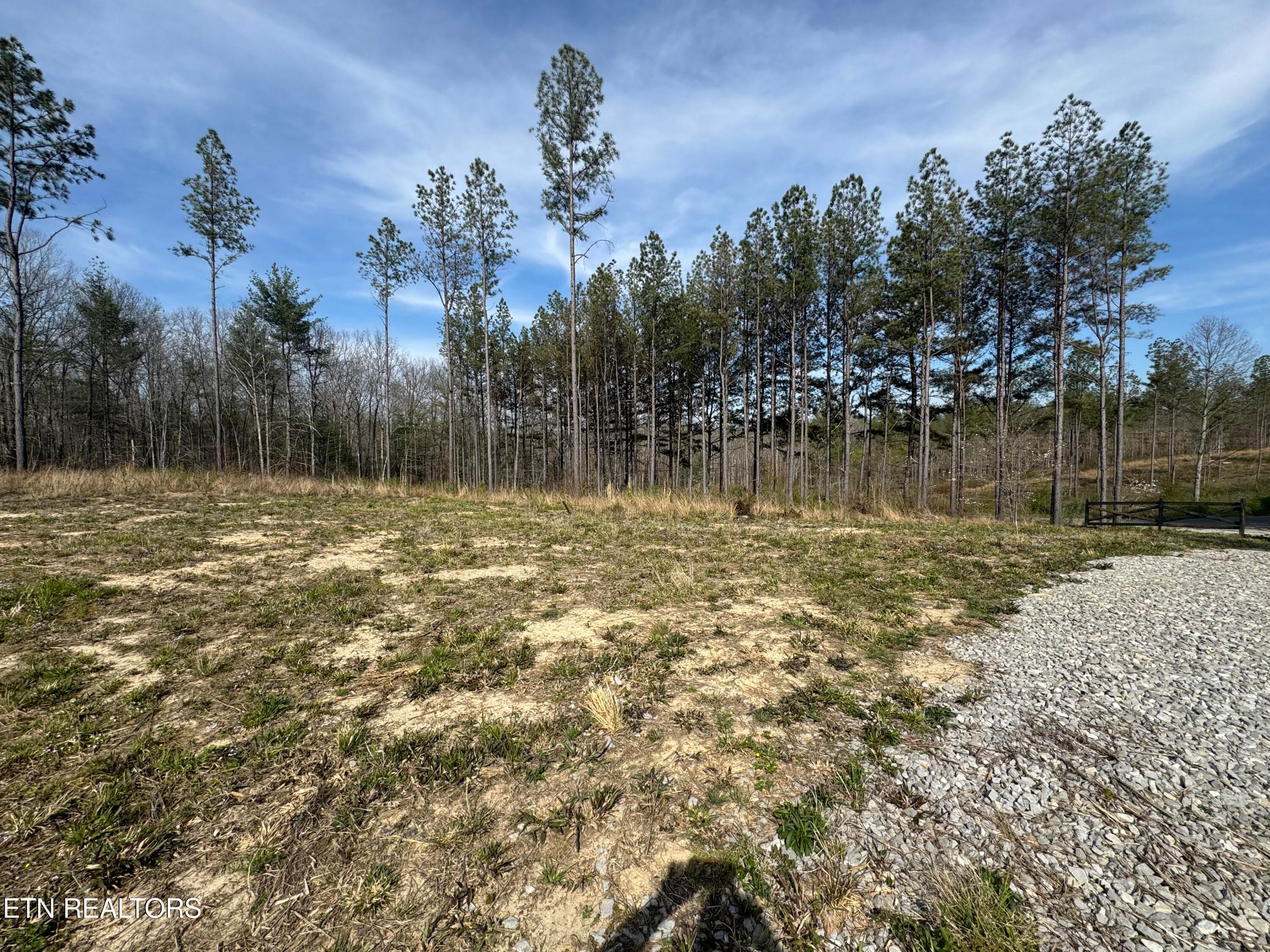 IMG_3231 - Lot #1 Burrville Rd, Sunbright, TN 37872