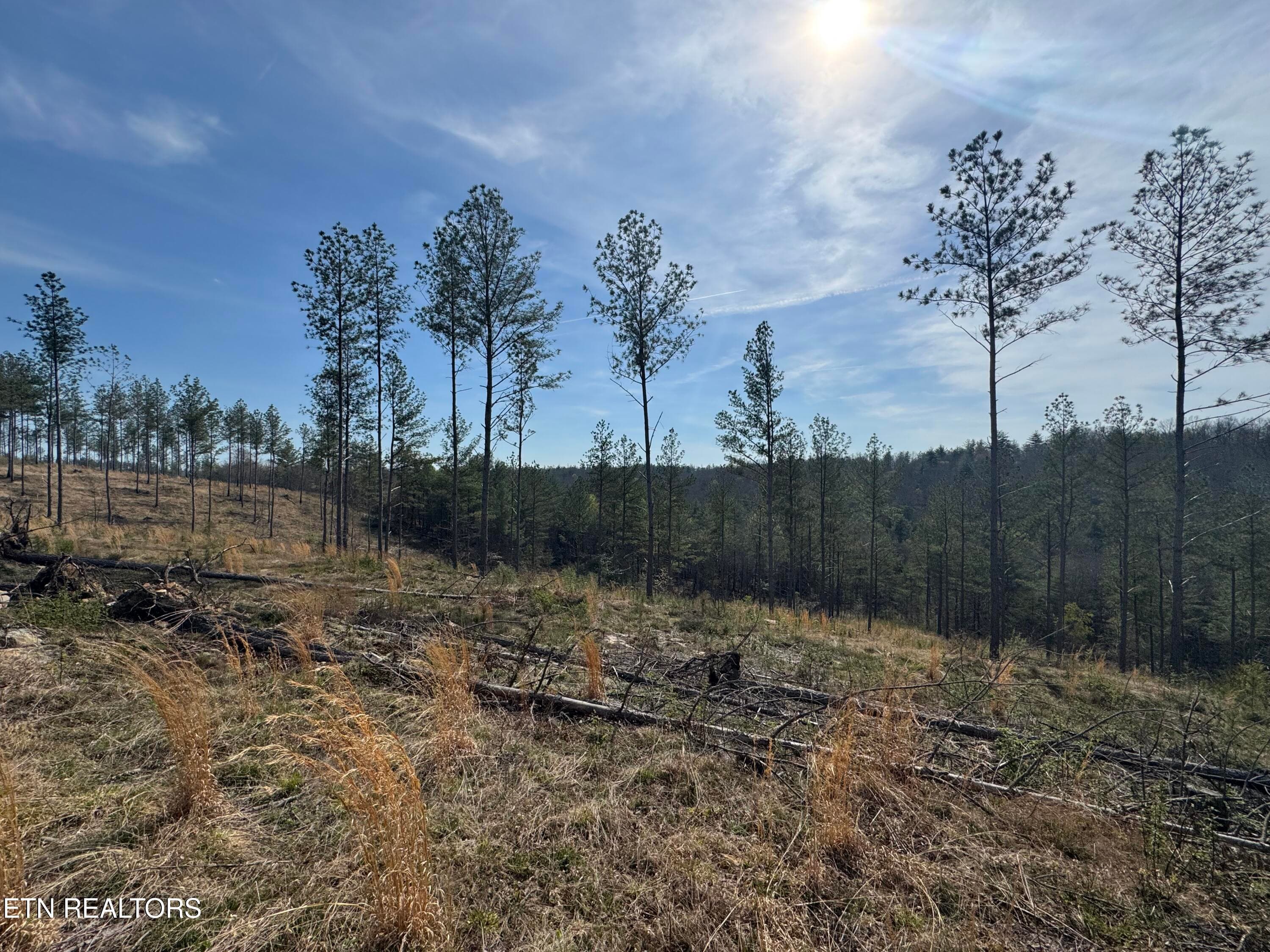 IMG_3232 - Lot #1 Burrville Rd, Sunbright, TN 37872