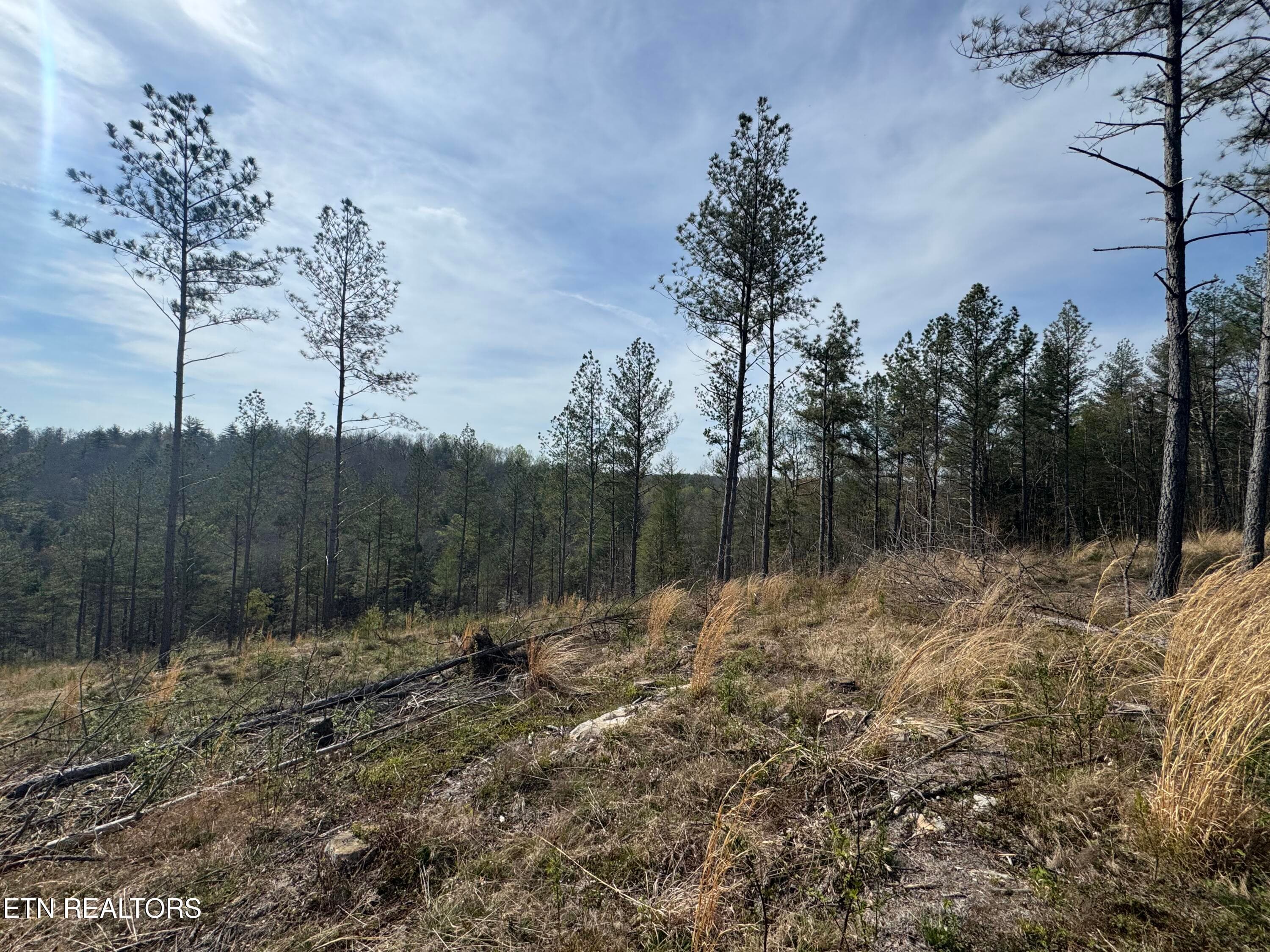 IMG_3233 - Lot #1 Burrville Rd, Sunbright, TN 37872