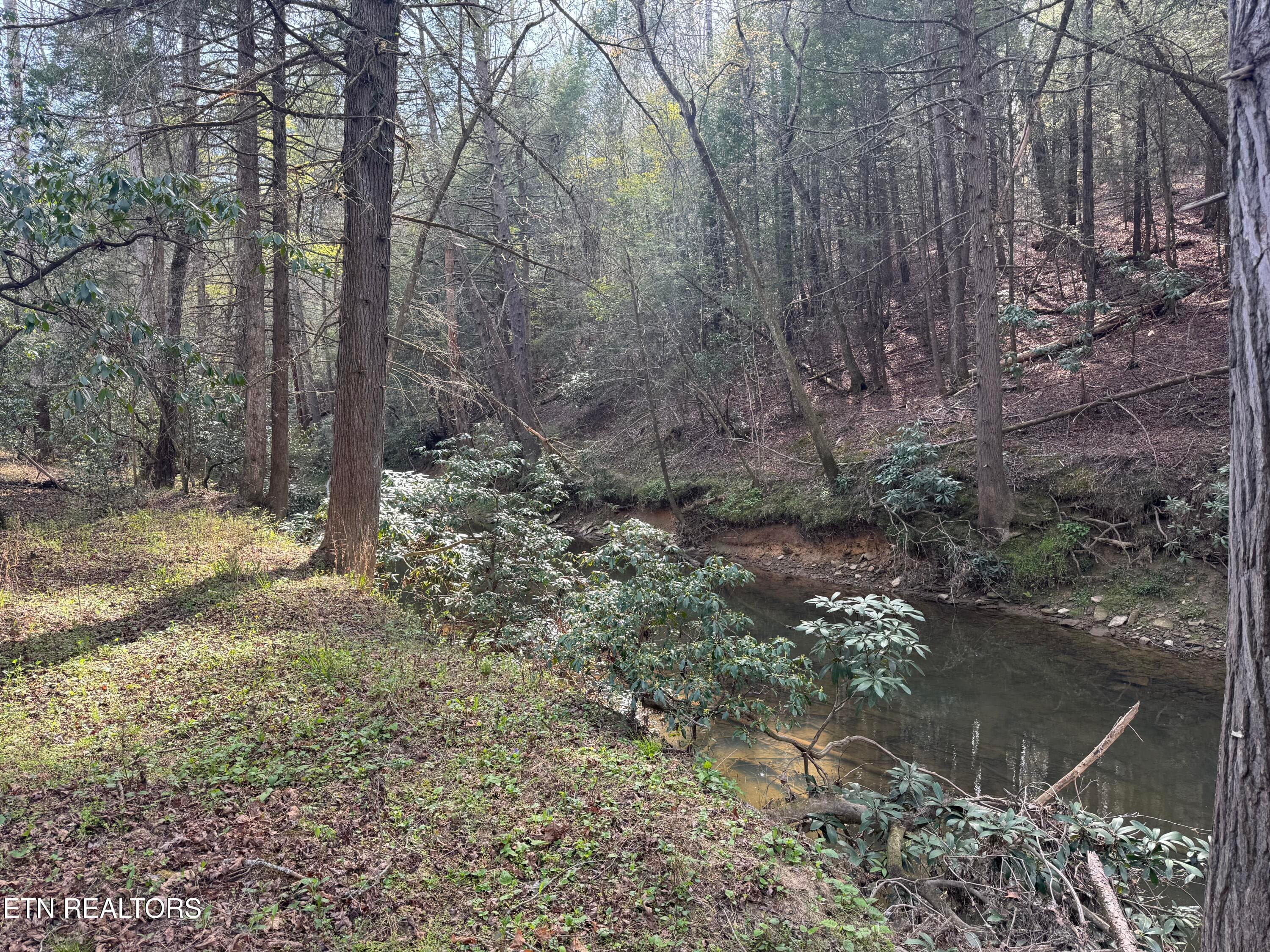 IMG_3238 - Lot #1 Burrville Rd, Sunbright, TN 37872