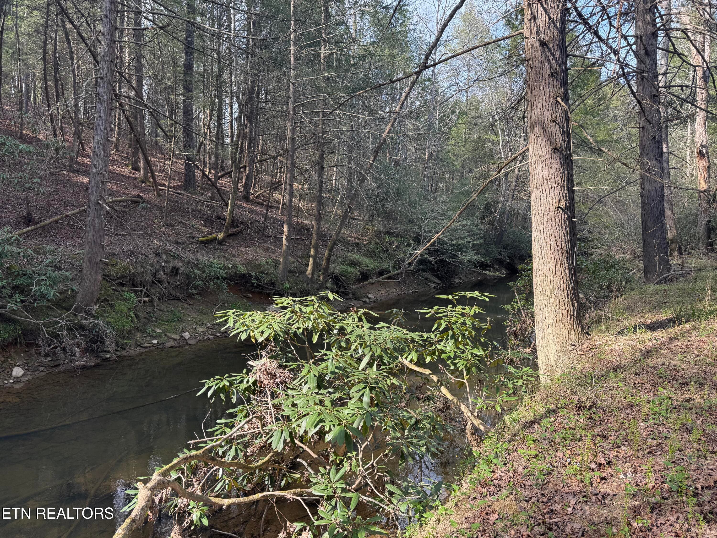 IMG_3239 - Lot #1 Burrville Rd, Sunbright, TN 37872