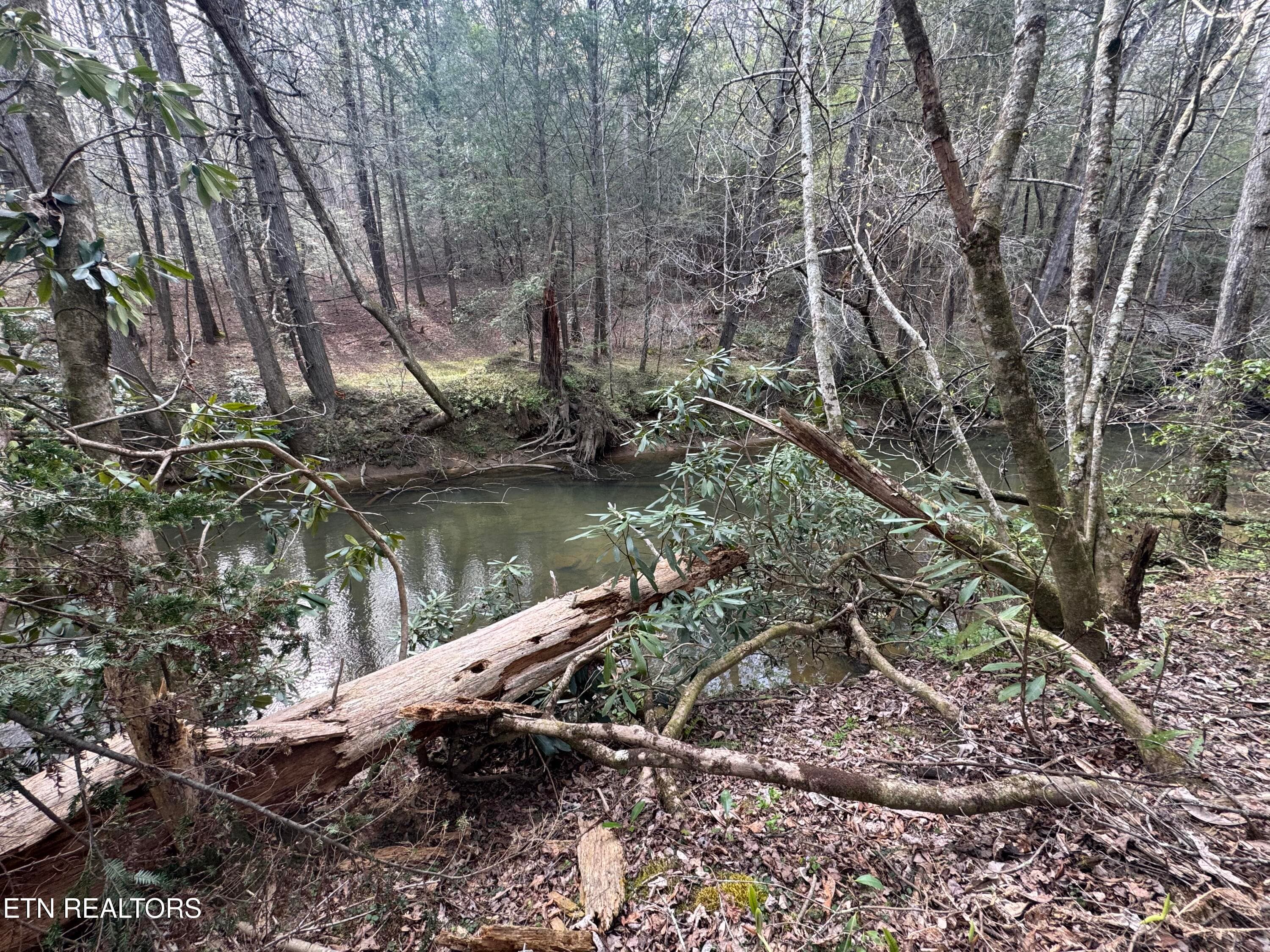 IMG_3245 - Lot #1 Burrville Rd, Sunbright, TN 37872