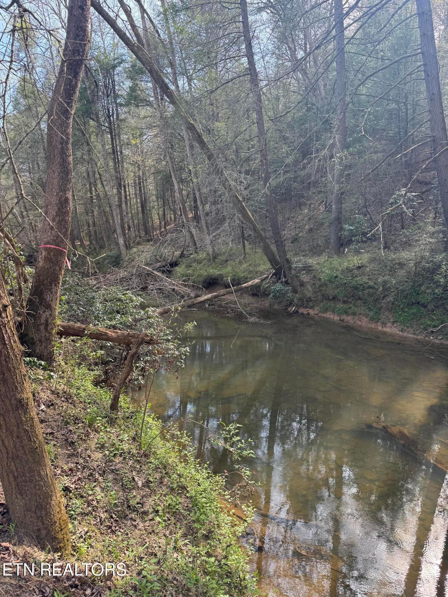 IMG_3244 - Lot #1 Burrville Rd, Sunbright, TN 37872