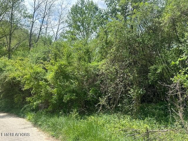 IMG_1946 - School House Rd, LeJunior, KY 40849