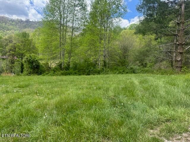 School House Rd, LeJunior, KY 40849