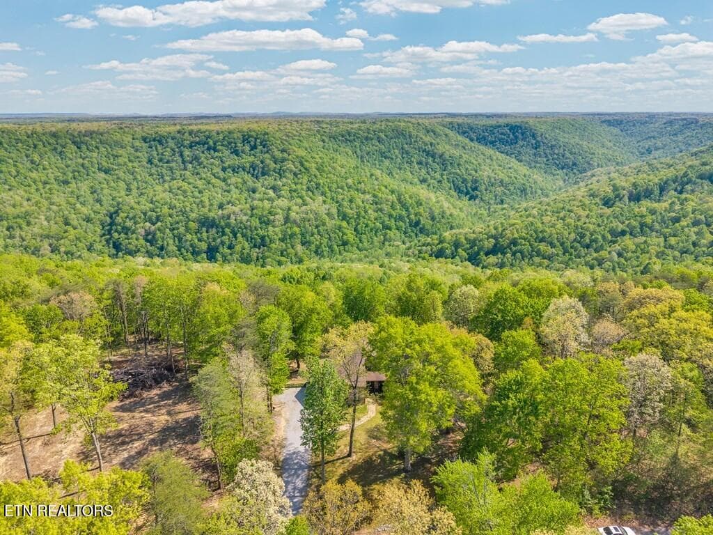 243717_4 - 160 Eagles Bluff Circle, Spencer, TN 38585