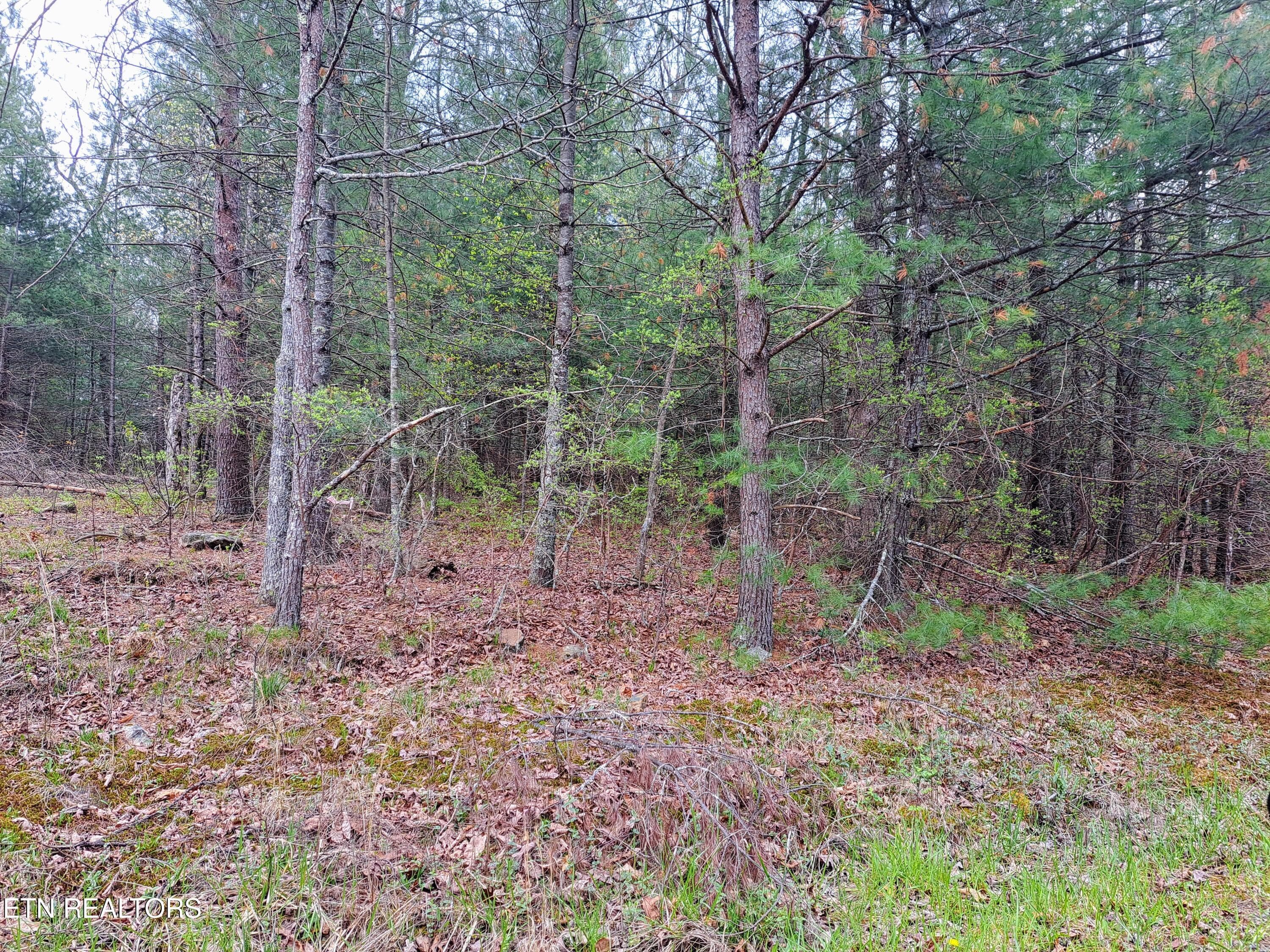927 Paola Drive, Crossville, TN 38572