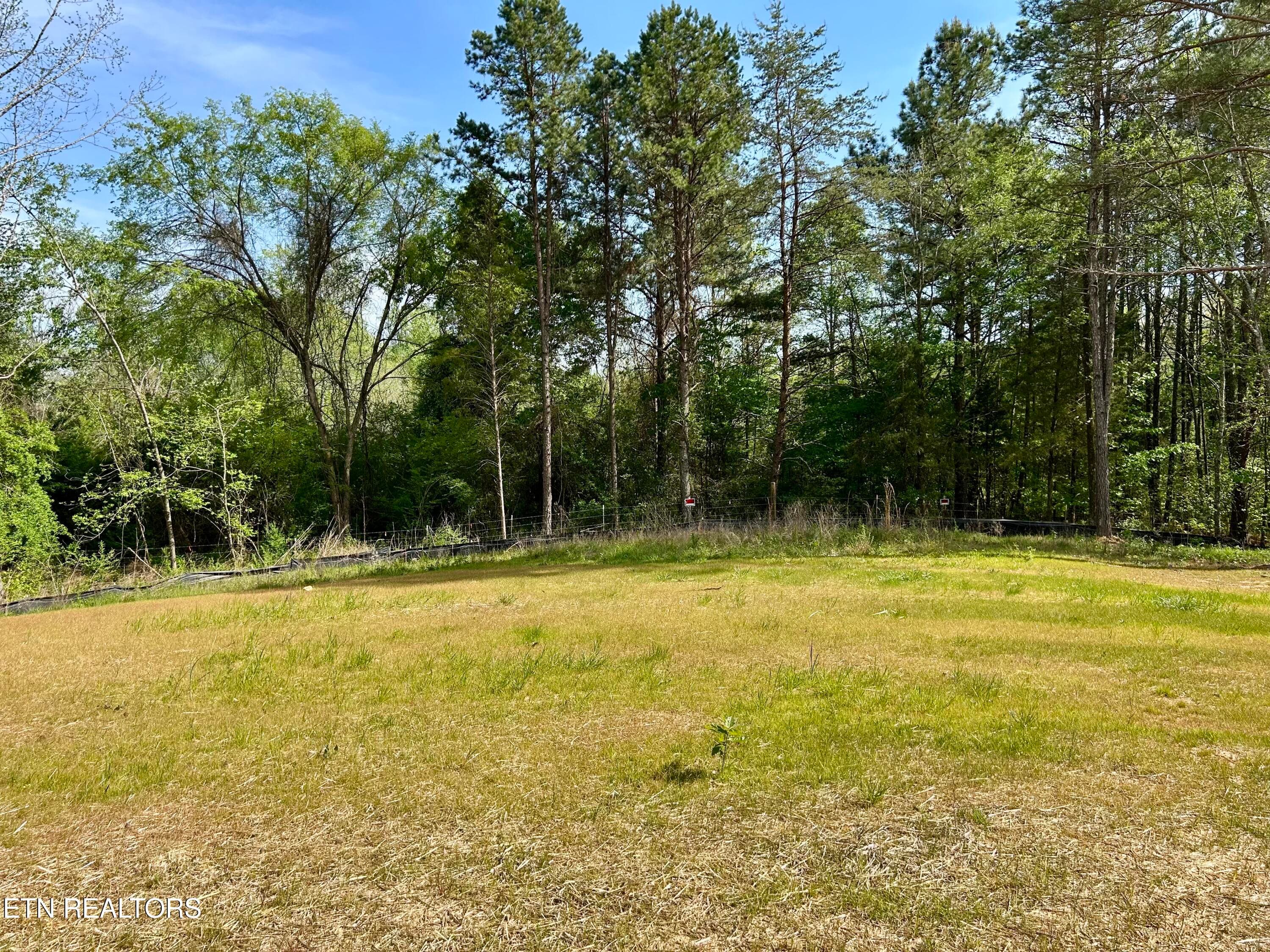 IMG_9445 - 224 Sable Rd, Spring City, TN 37381